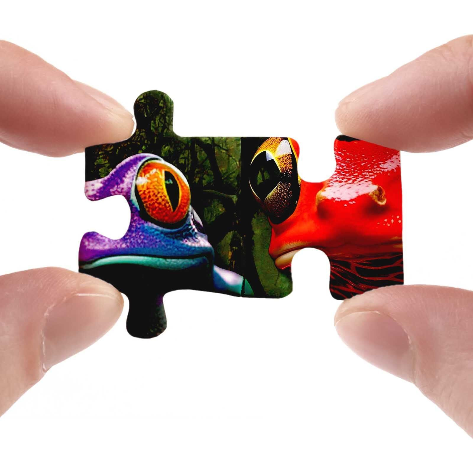 Colorful Frog Puzzle 1000 Piece For Adults  Rainbow Frogs Jigsaw Puzzle Nature  Forest Animal Scenic Puzzles