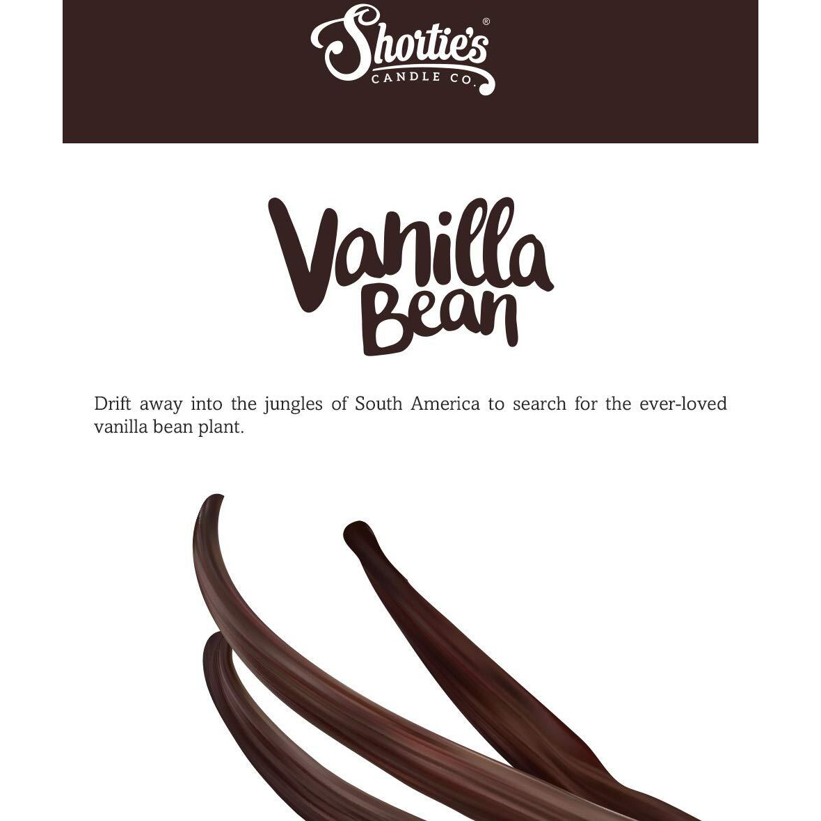 Shortie's Candle Company Vanilla Bean Wax Melts Multi Pack - Formula 117-2 Highly Scented 3 Oz. Bars (6 Oz. Total) - Made With Natural Oils - Bakery & Food Air Freshener Cubes Collection