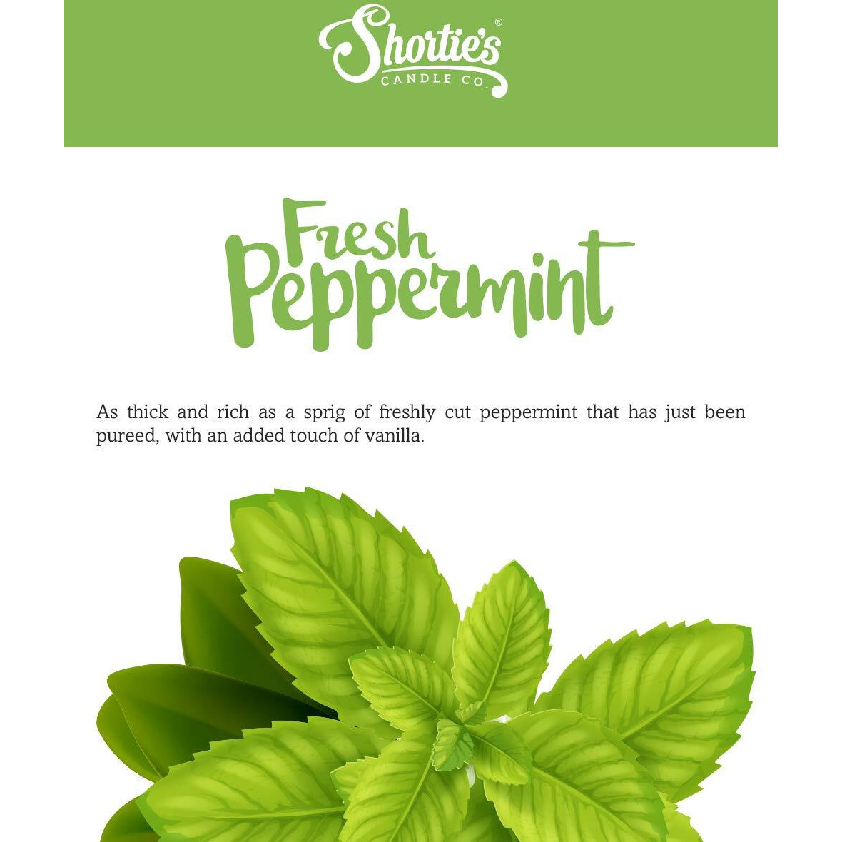 Shortie's Candle Company Fresh Peppermint Wax Melts Multi Pack - Formula 117-2 Highly Scented 3 Oz. Bars (6 Oz. Total) - Made With Natural Oils - Christmas & Holiday Air Freshener Cubes Collection