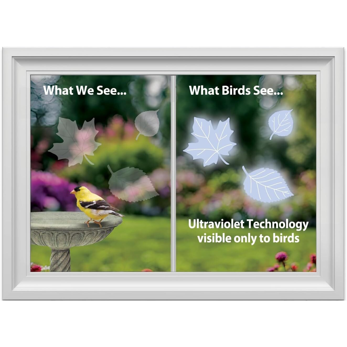 Windowalert Leaf Medley Anti-Collision Decal 4 Pack - Uv-Reflective Window Decal To Protect Wild Birds From Glass Collisions - Made In The Usa