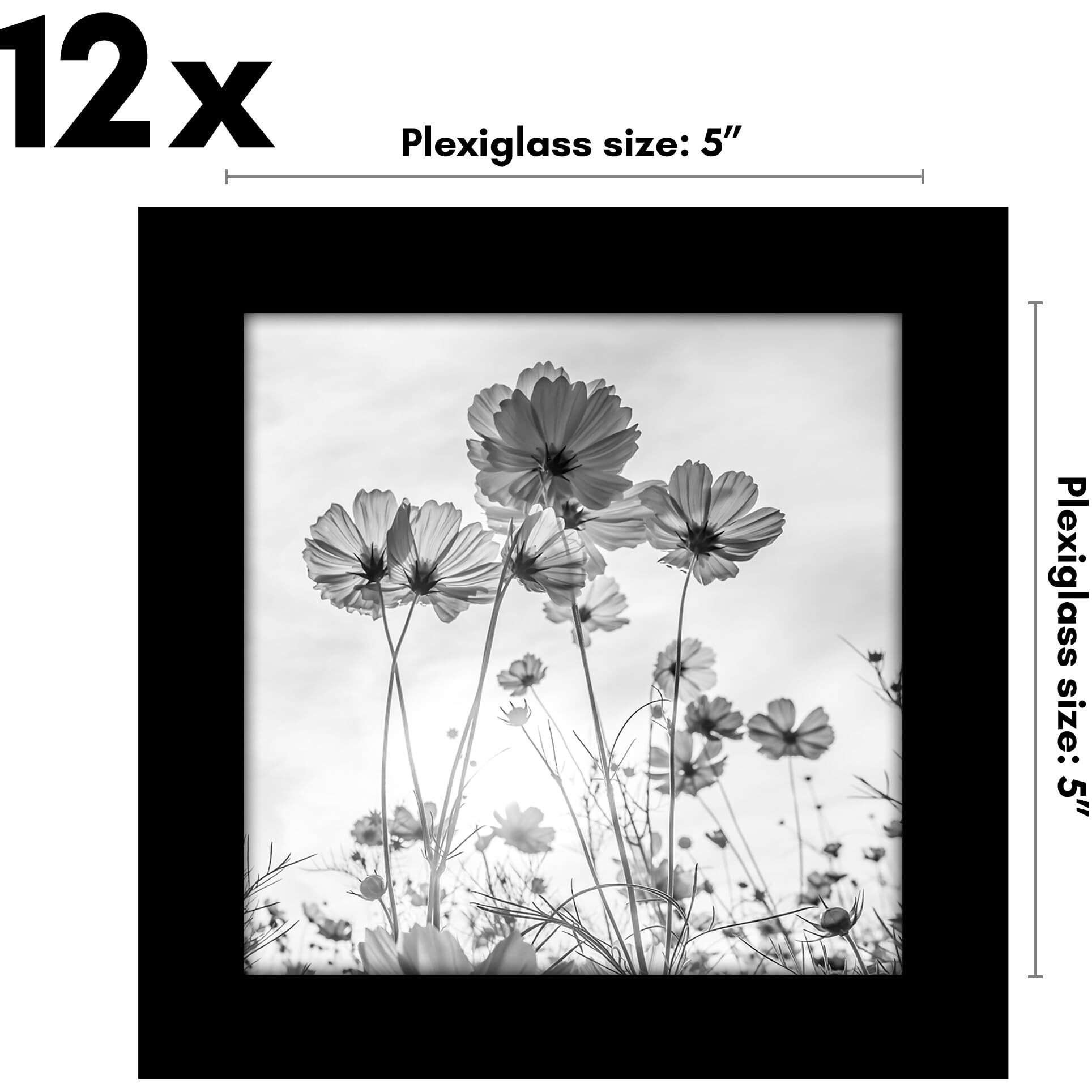 Americanflat 12 Piece 5X5 Gallery Wall Picture Frame Set In Black - Square Picture Frames With Polished Plexiglass And Easel For Wall And Tabletop Display