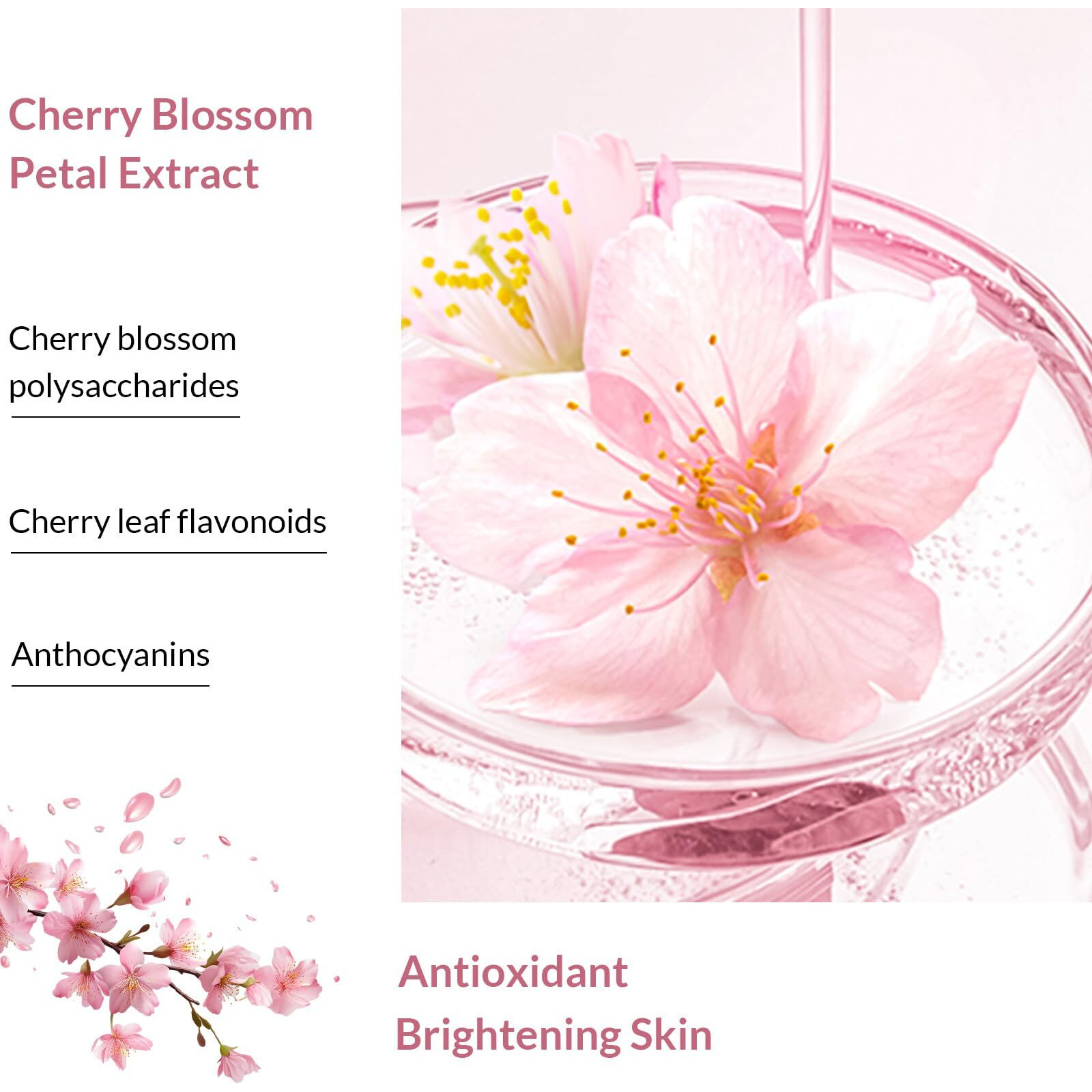 Kustie Cherry Blossom Brightening Body Wash  Natural Petals & Essential Oils - Antioxidant  24H Fragrance & Deep Moisturizing Cleanse Shower Gel For Sensitive & Dry Skin With Pump Bottle  16.9 Fl Oz