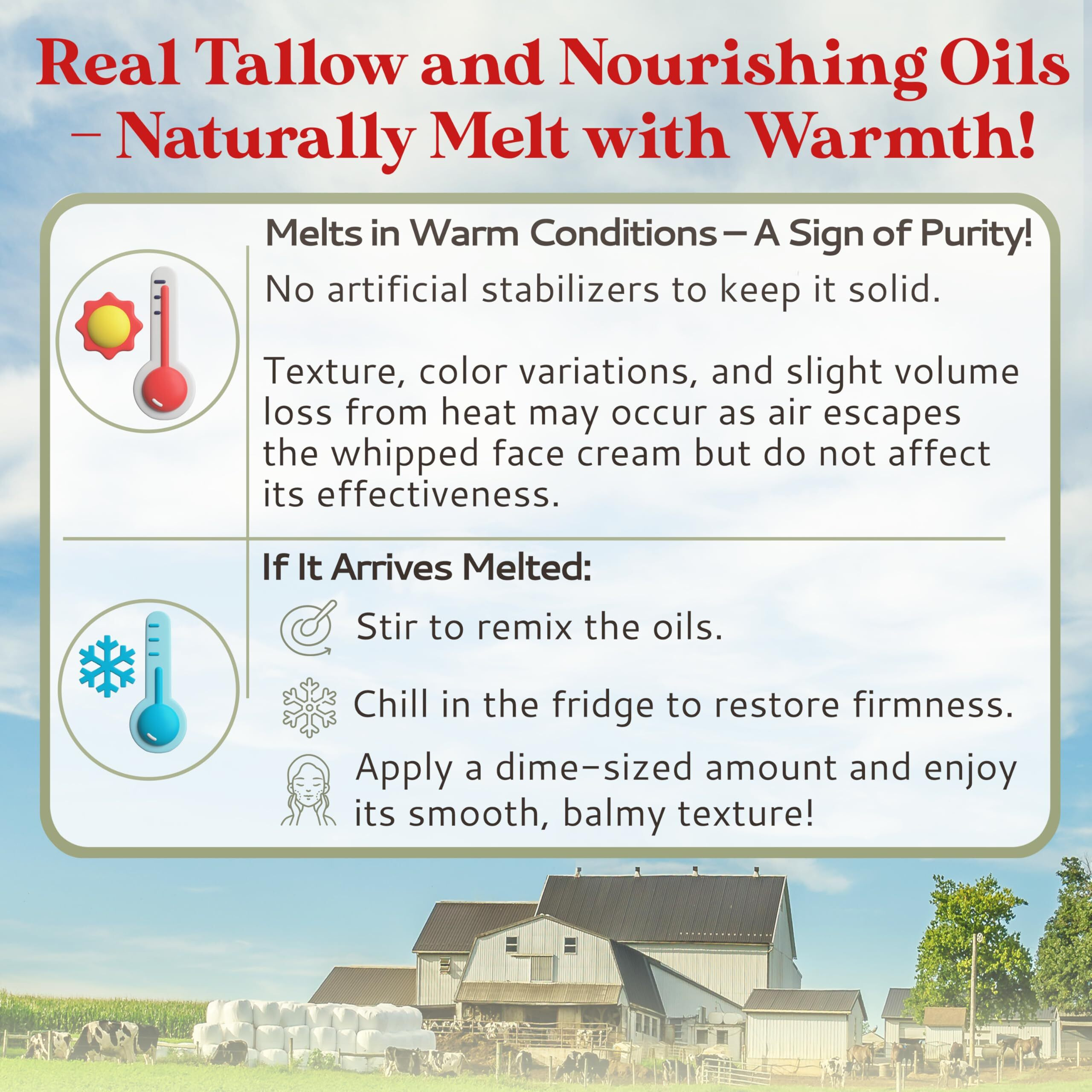 Amish Farms Tallow Face Cream - Handcrafted Beef Tallow For Skin Moisturizer Infused With Natural Ingredients  Orange & Vanilla Oils  100% Grass-Fed Beef Tallow For Hydrated & Radiant Skin (50G Jar)