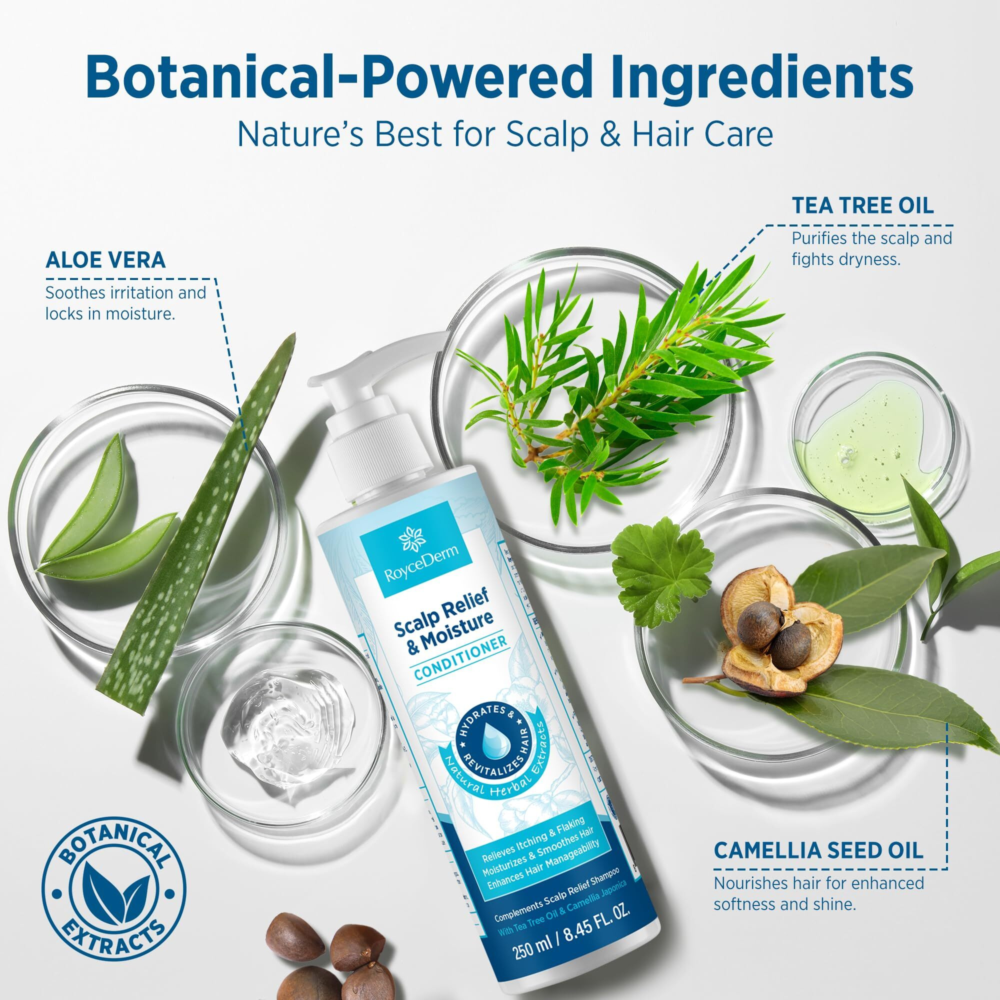 Roycederm Scalp Relief & Moisture Conditioner Hydrating & Nourishing Formula With Jojoba Oil  Aloe Vera & Camellia Oil  Soothes Dry  Itchy Scalp