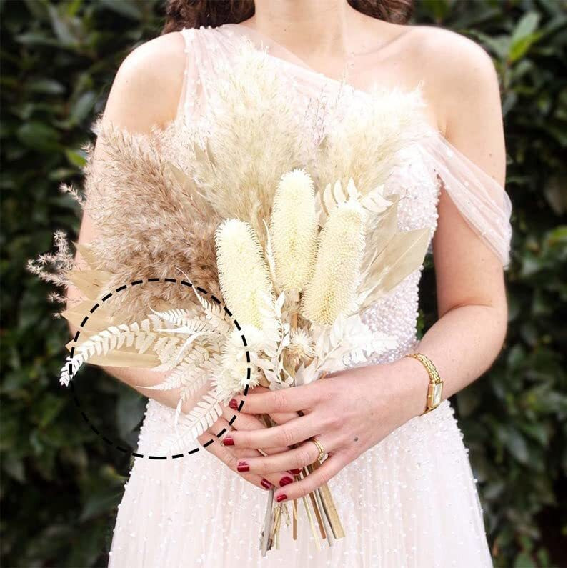 Prefleur Preserved Real Green Ferns Dried Green Fern Tips Stems Wedding Garlands Home Decorations Bouquets Flower Arrangements Wall Hanging Dried (White)