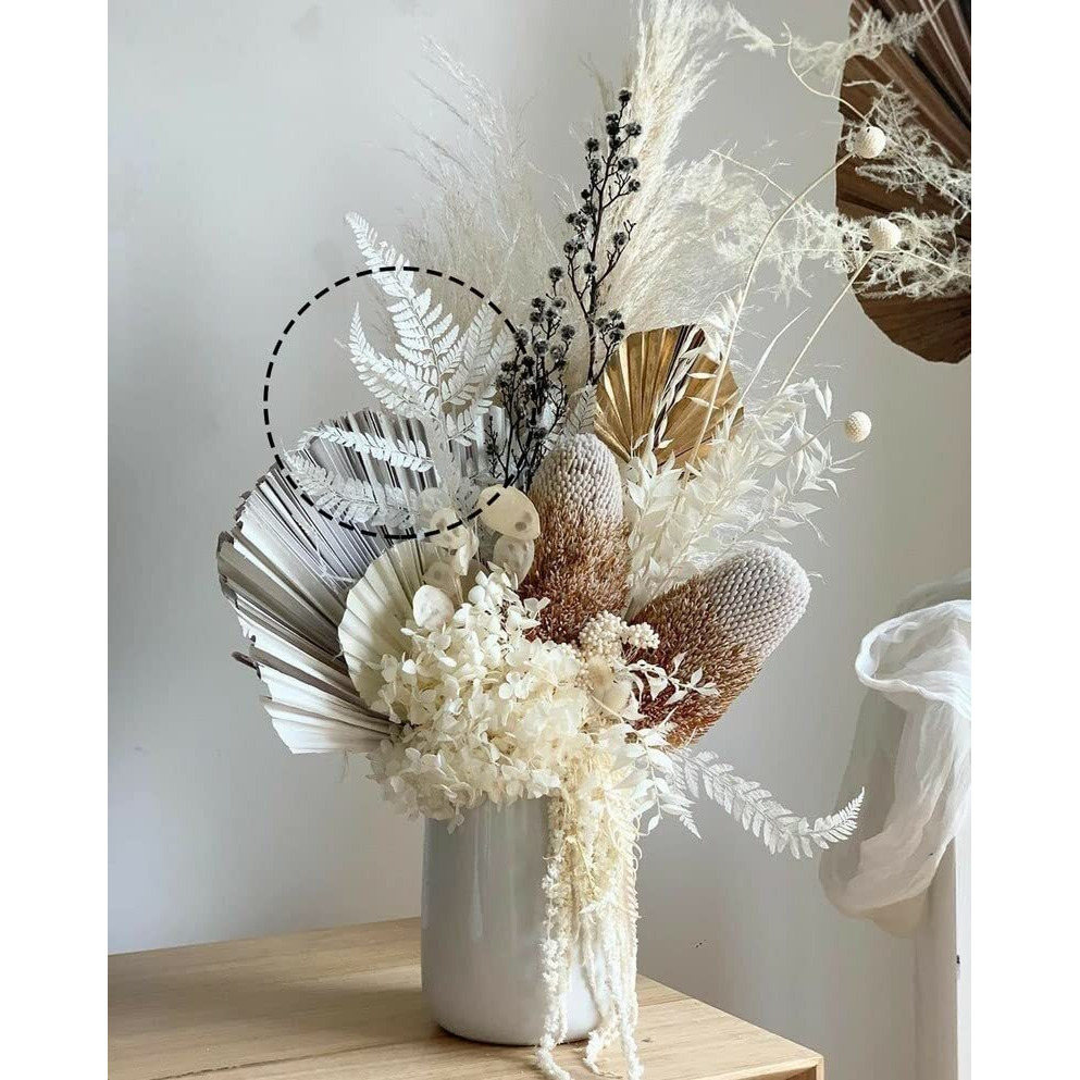 Prefleur Preserved Real Green Ferns Dried Green Fern Tips Stems Wedding Garlands Home Decorations Bouquets Flower Arrangements Wall Hanging Dried (White)