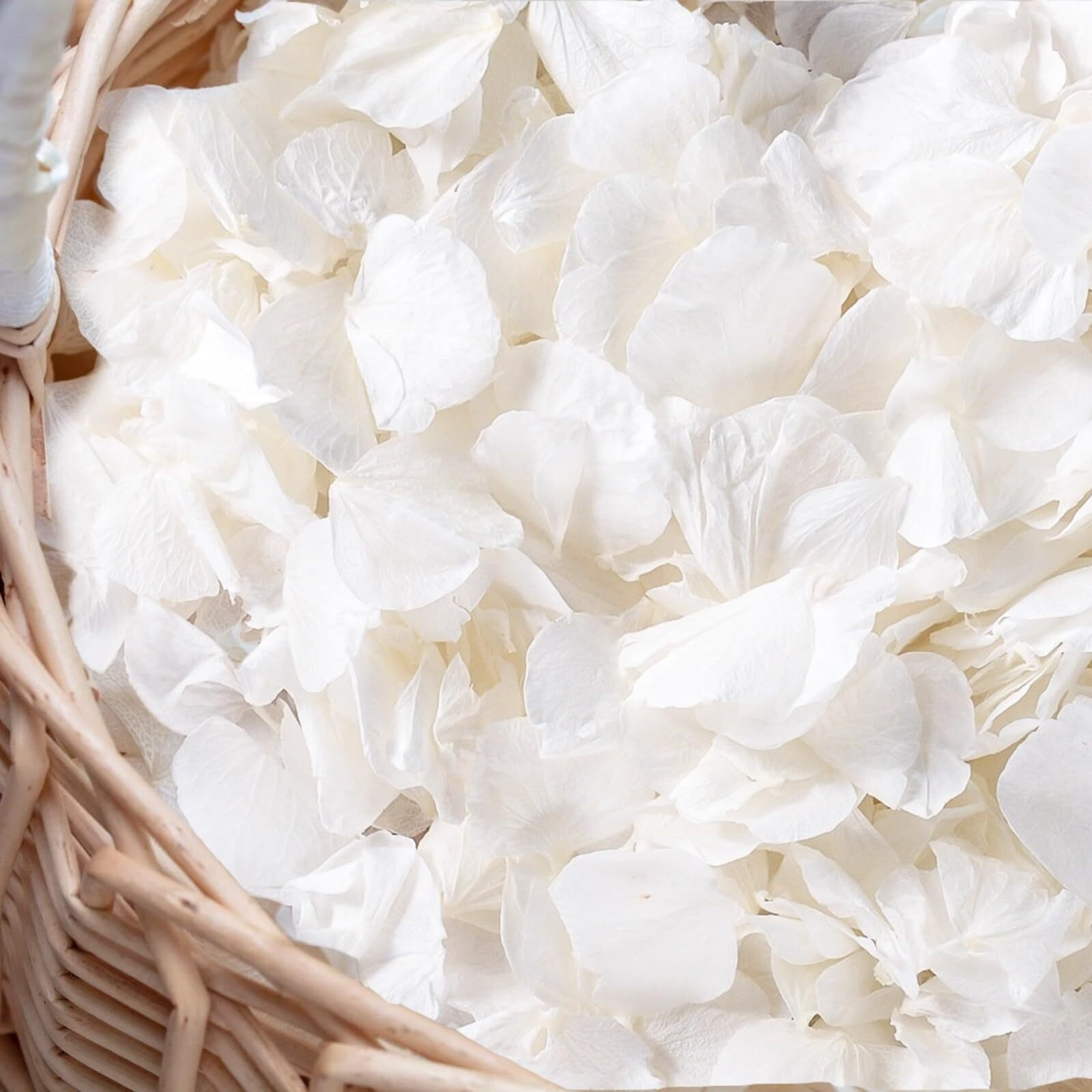Gifugi 3000+Pcs Real Ivory White Dried Hydrangea Flower Petals - 100% Natural Creamy White Flower Petals For Wedding Confetti  Flower Girl Basket  Romantic Night Decor  Diy Handcrafts (2.12Oz)