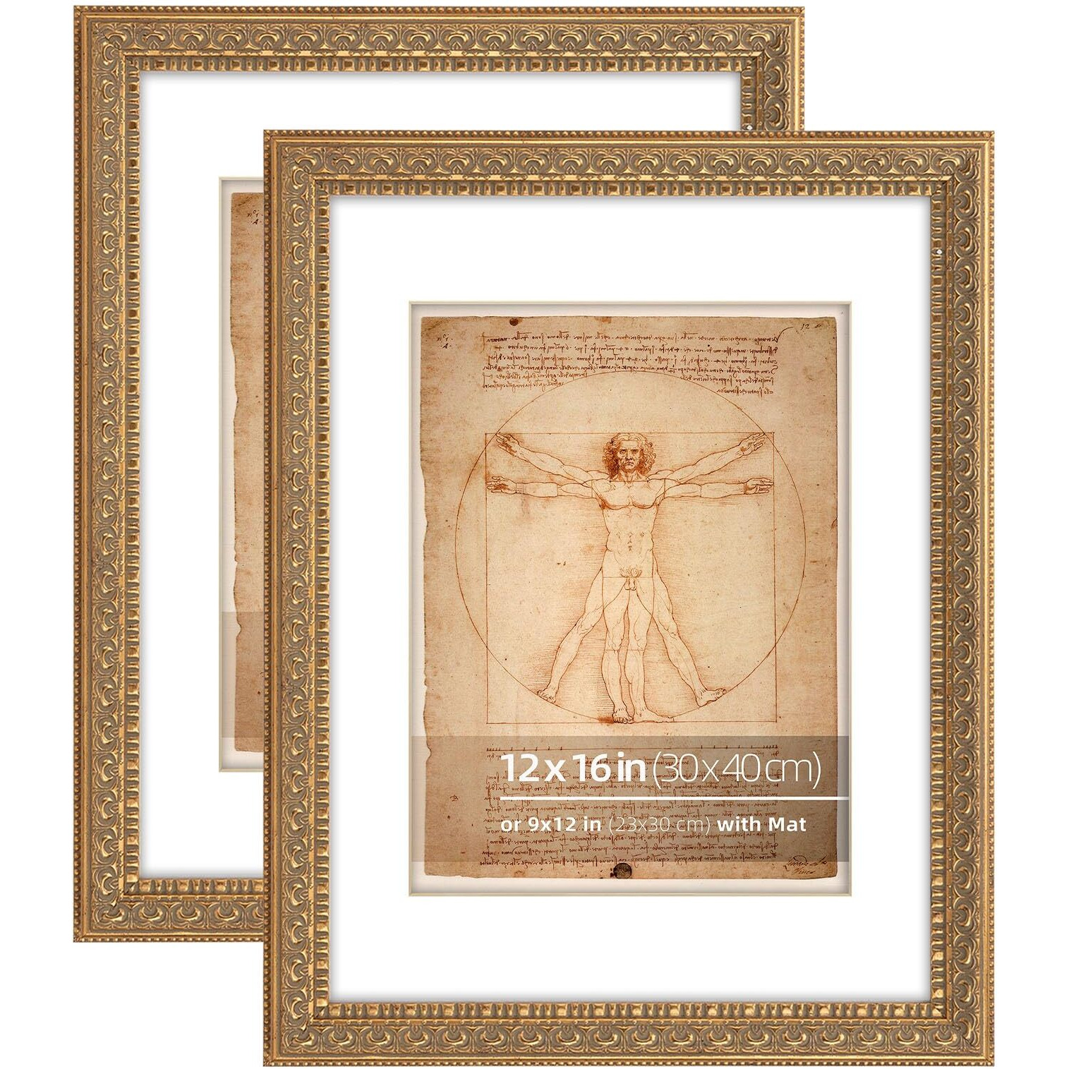 Wynco 12X16 Antique Gold Ornate Picture Frame  With Mat For 9X12 Inches Photos  Plexi Glass Protection  2 Pack