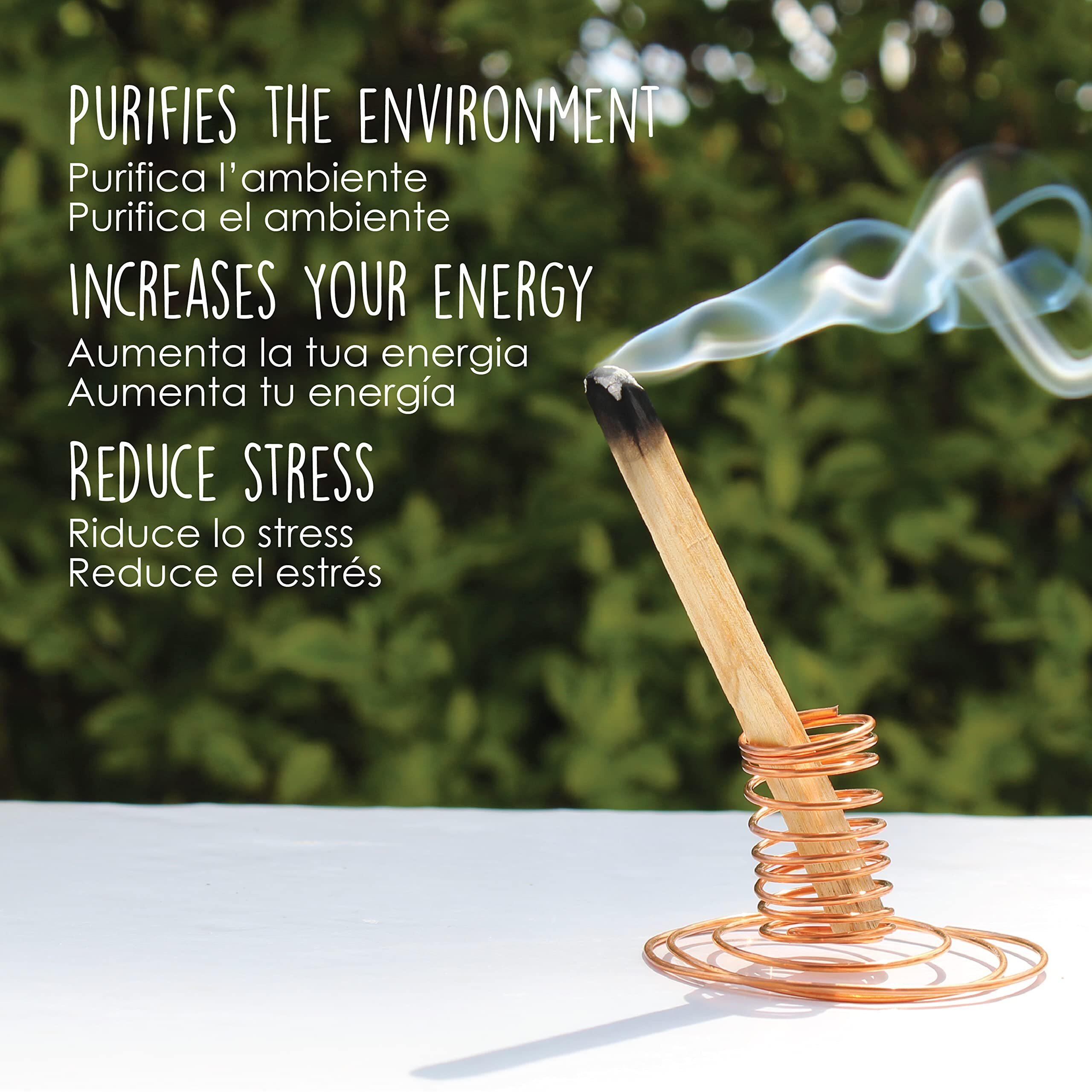 Palosanto - Palo Santo Incense Sticks Seleccion - 10Cm 3 94In - 5 Pack - Organic Thin Palo Santo Sticks - Easy To Light - Wild Harvested & Sustainably Sourced - Palo Santo Wood Bursera Graveolens