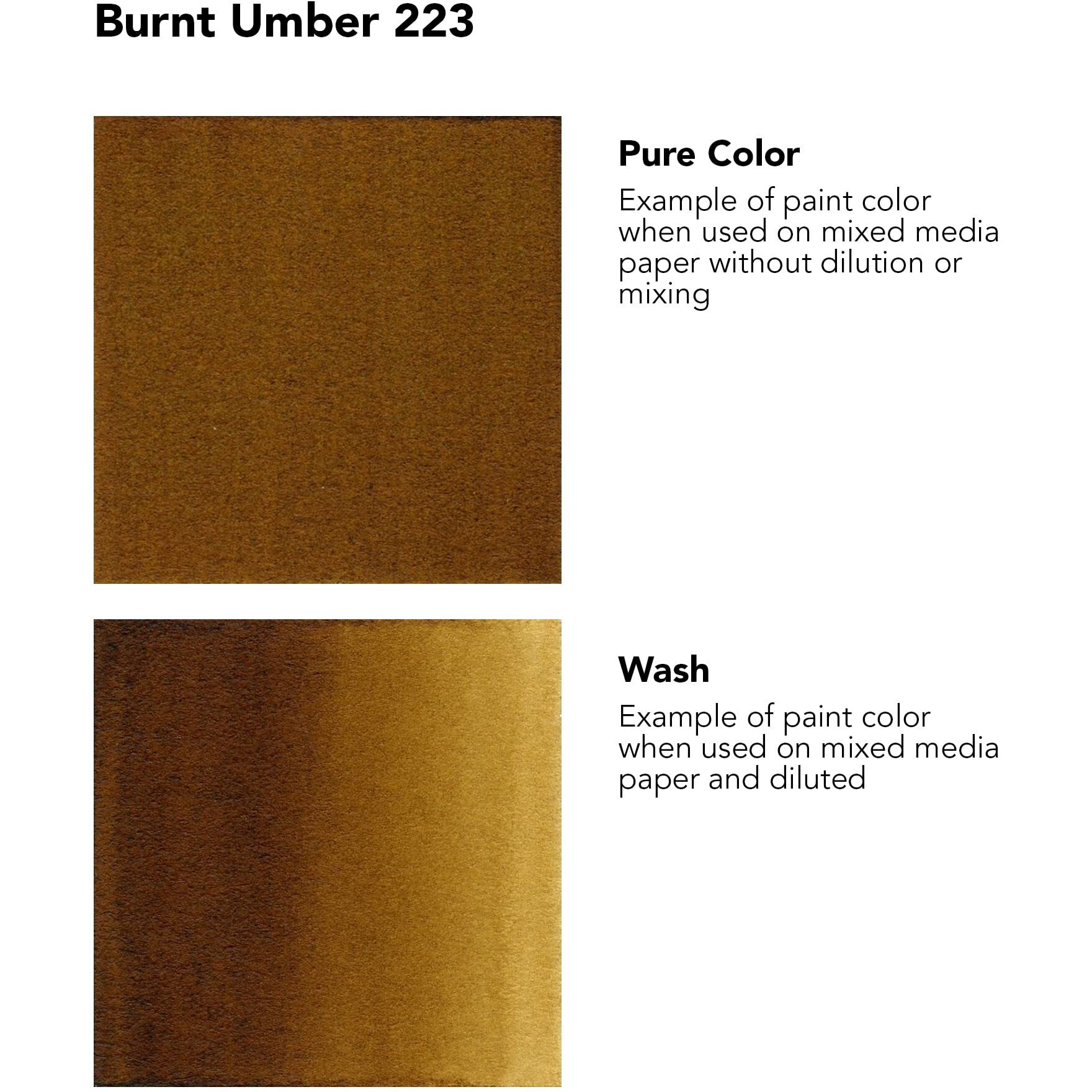 Daler-Rowney Fw Acrylic Ink Bottle Burnt Umber - Versatile Acrylic Drawing Ink For Artists And Students - Permanent Calligraphy Ink - Archival Ink For Illustrating And More