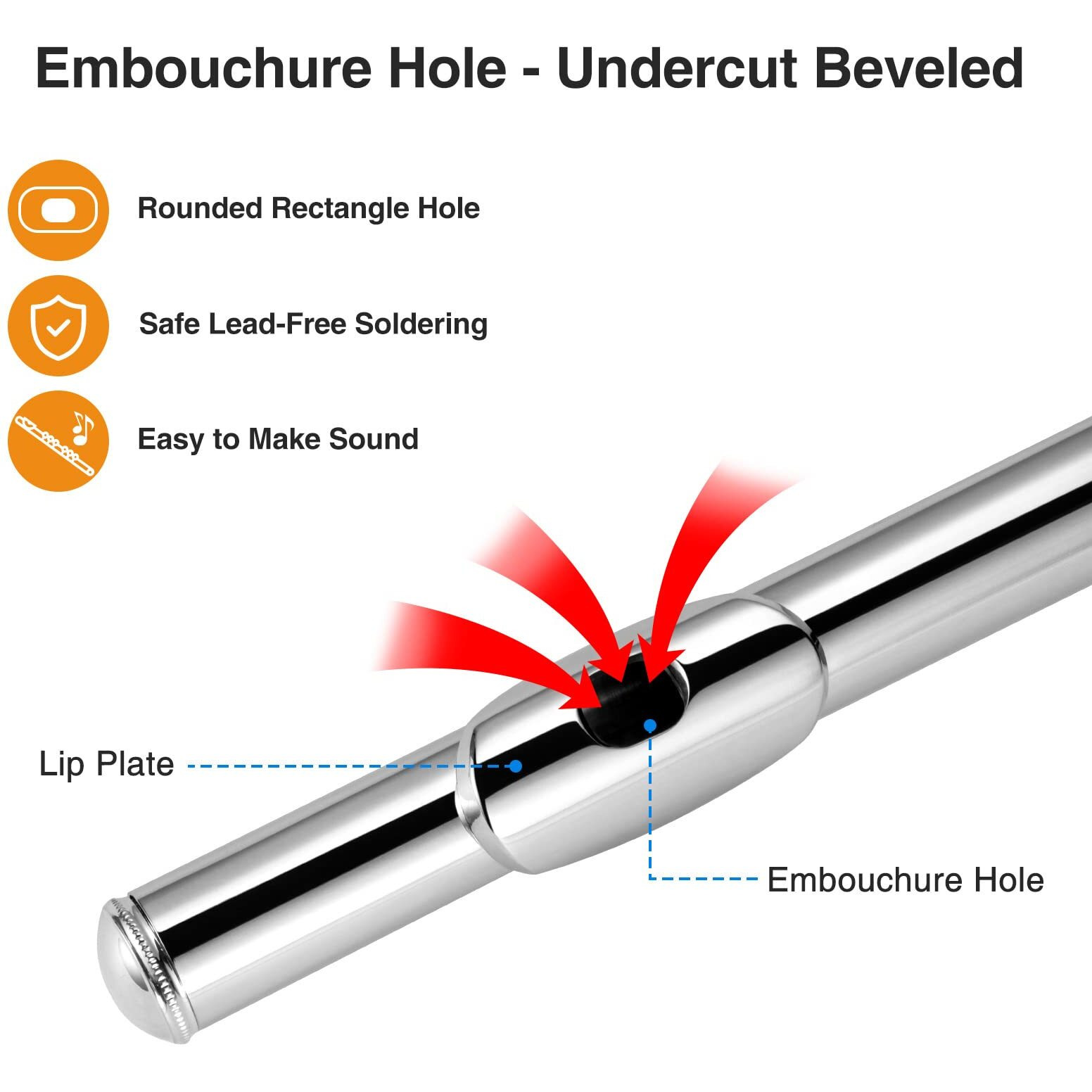 Pogolab Open Hole C Flute  16 Keys Student Flute Instrument For Beginner Advanced Player  With Carry Bag  Strap  Gloves  Adjustment Screwdriver  Cleaning Kit (Open/Closed Hole  Silver Plated)