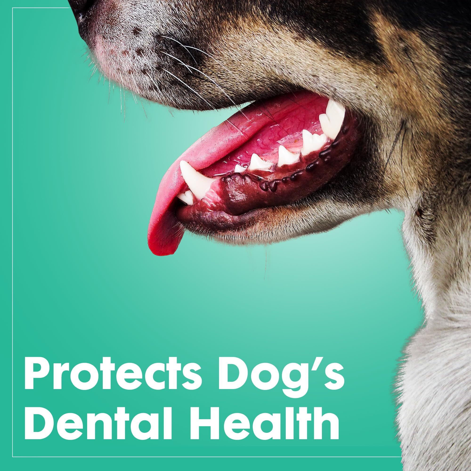 Dog Chew Toys For Aggressive Chewers - Treat Dispensing Chew Shoe Interactive Small Medium Dog Puzzle Toys  Dog Chew Enrichment Toys For Boredom And Brain Stimulating Game Keeps Them Engaged