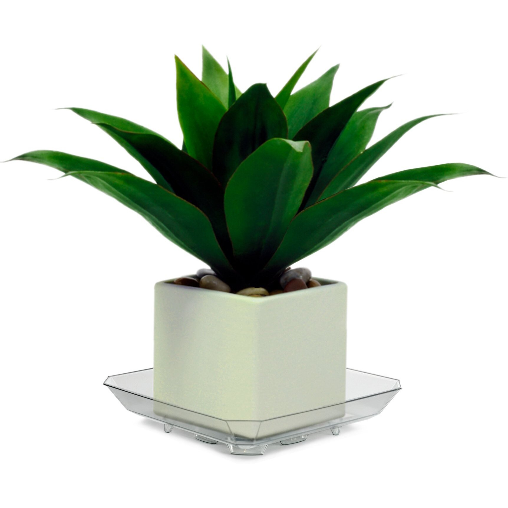 Plastec Sqro8 Square Recycled Plant Saucer  8-Inch - Sqr08