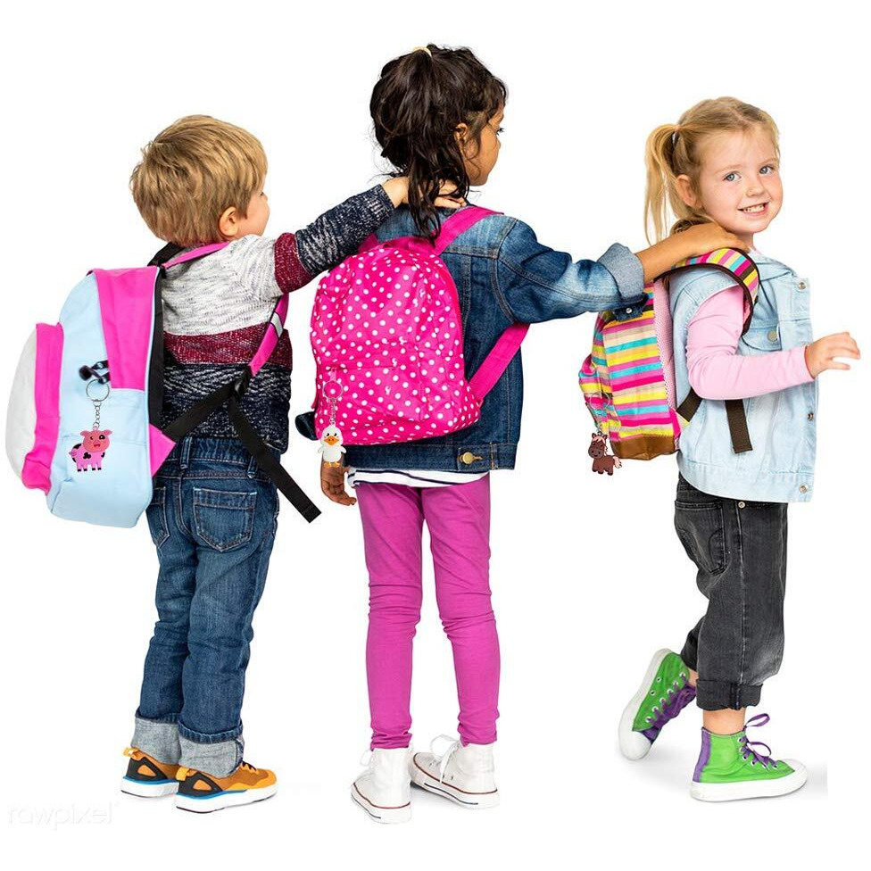 Imagitek 24 Pack Farm Animal Keychains For Barnyard Party Favors Supplies  Party Bag Fillers  School Carnival Rewards  Farm Animal Baby Shower Party Favors