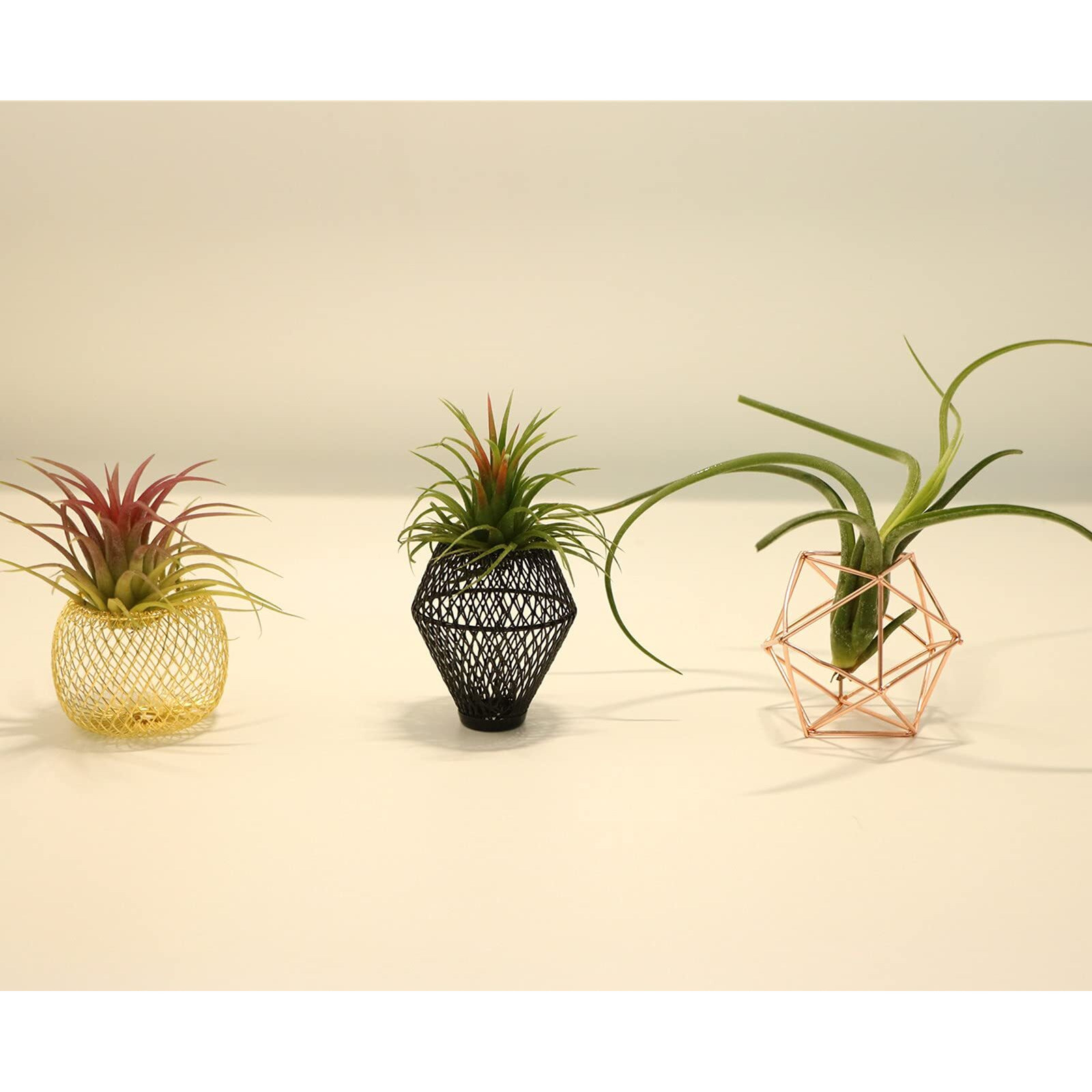 Rojax Pack Of 3 Air Plant Metal Stand  Black  Rose Gold  Indoor/Outdoor  3 In H X 5 In W X 5 In D