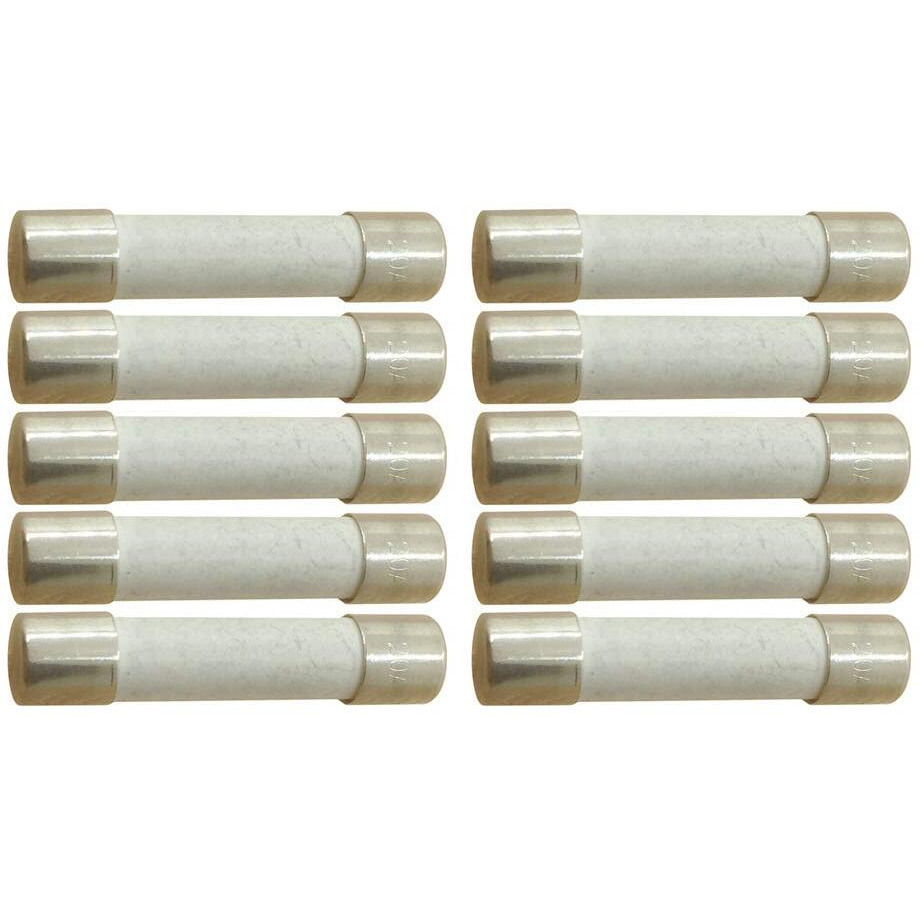 Yolistic 10 Amp Slow-Blow Time Delay Fuse Ceramic 6.35X31.75Mm(1/4"" X 1-1/4"") (Pack Of 10)