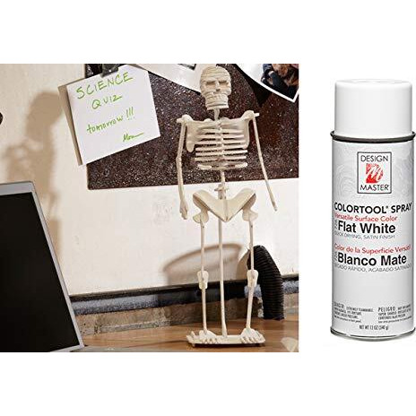 Design Master Spray  Flat White  12 Oz