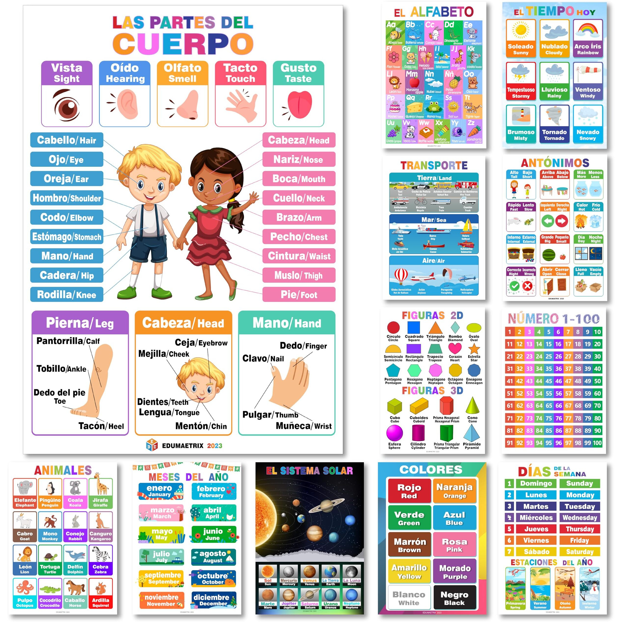 12 Spanish English Bilingual Educational Posters Water Proof Learning Chart For Preschool  Kindergarten  1St Grade  Classroom Decoration  Alpabet  Alfabeto  Numbers  Seasons  Colors  Month Of The