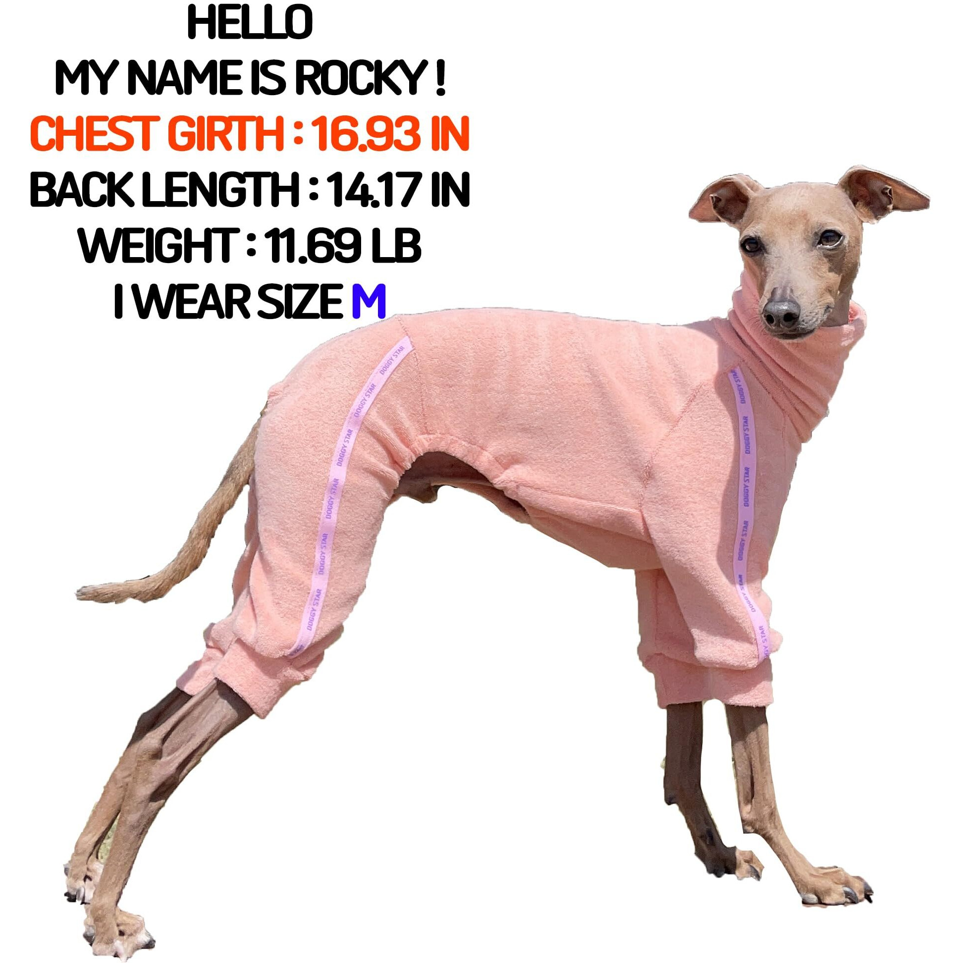 D Doggy Star Italian Greyhound Clothes Stretchy Towel Sports Onesie Outfit Whippet For Dog Coat (Xl Twl Apricot)