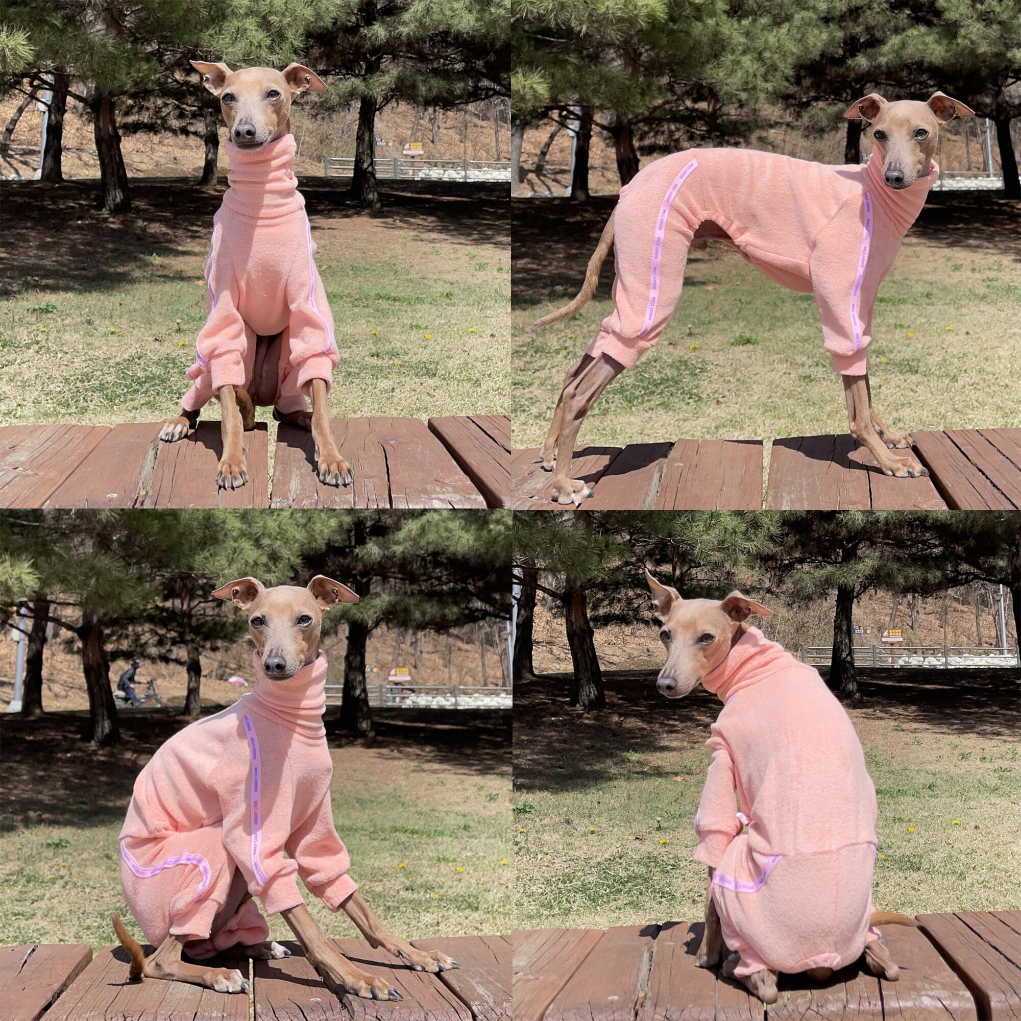 D Doggy Star Italian Greyhound Clothes Stretchy Towel Sports Onesie Outfit Whippet For Dog Coat (Xl Twl Apricot)