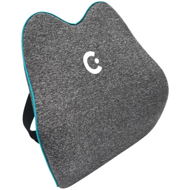 Cubii Cushii V2 Back Support Cushion For Lower Back Pain Relief And Support Universal Fit For Desk  Office  Kitchen Chairs  Couch Cushions With Advanced Back Lumbar Support