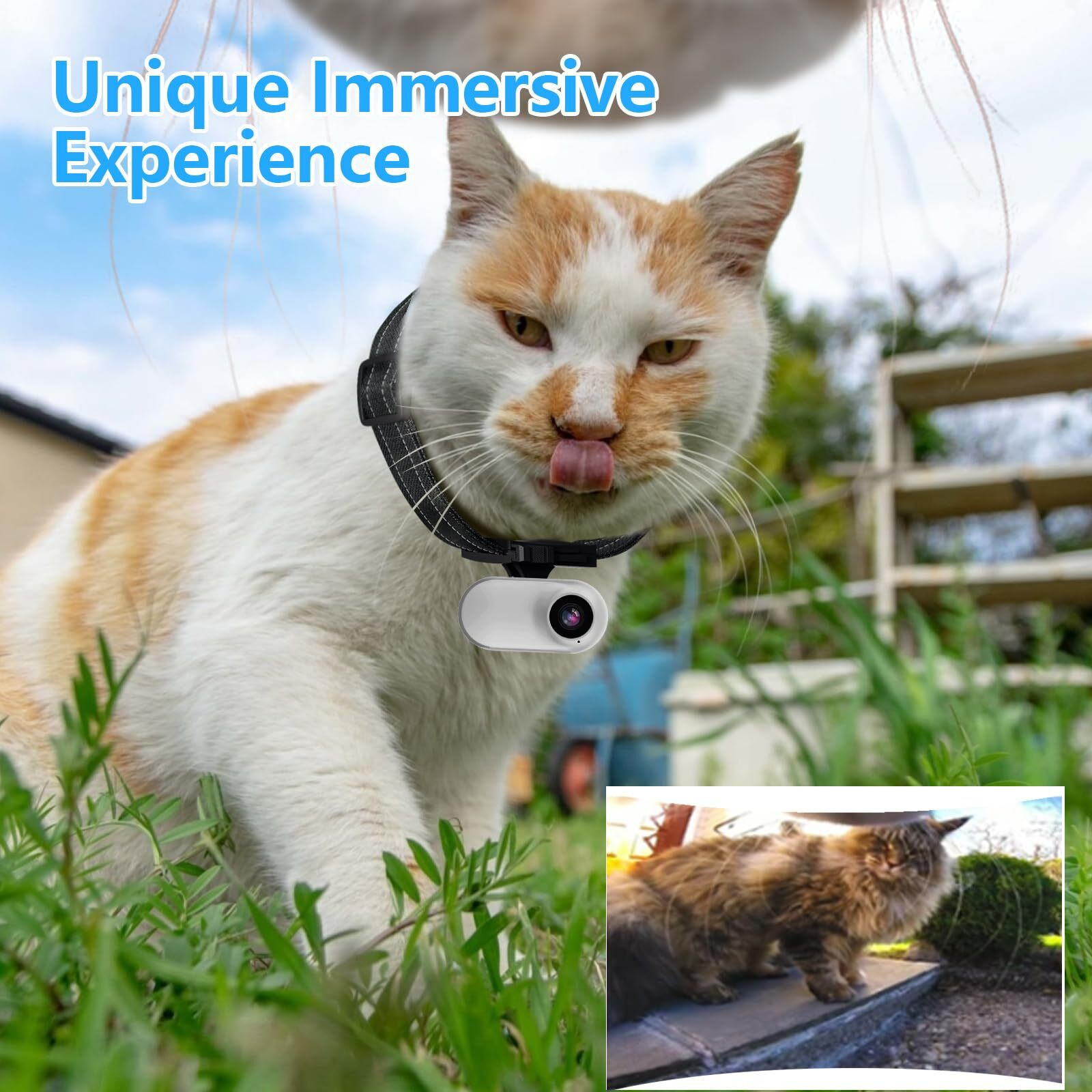 Ehomful Hd 1080P Cat Camera Collar With Video Record Wireless Mini Sport Cam Small Action Cameras Body Camera For Pet Supplies/Stuff Outdoor/Inoor Birthday Gift No Wifi