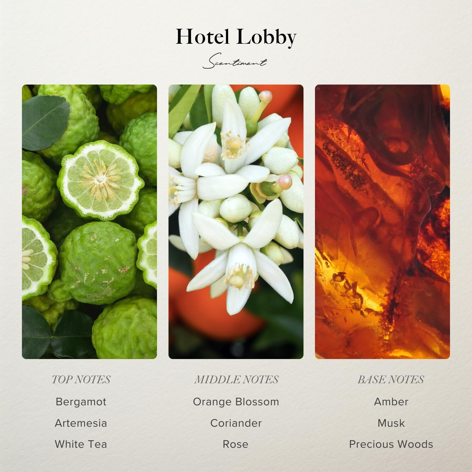 Scentiment - Hotel Lobby Hotel Diffuser Oil | Aromatherapy Fragrance Inspired By 5-Star Hotels | Luxurious Scent With Notes Of White Tea  Bergamot  Orange Blossom  Amber & Marine |20Ml