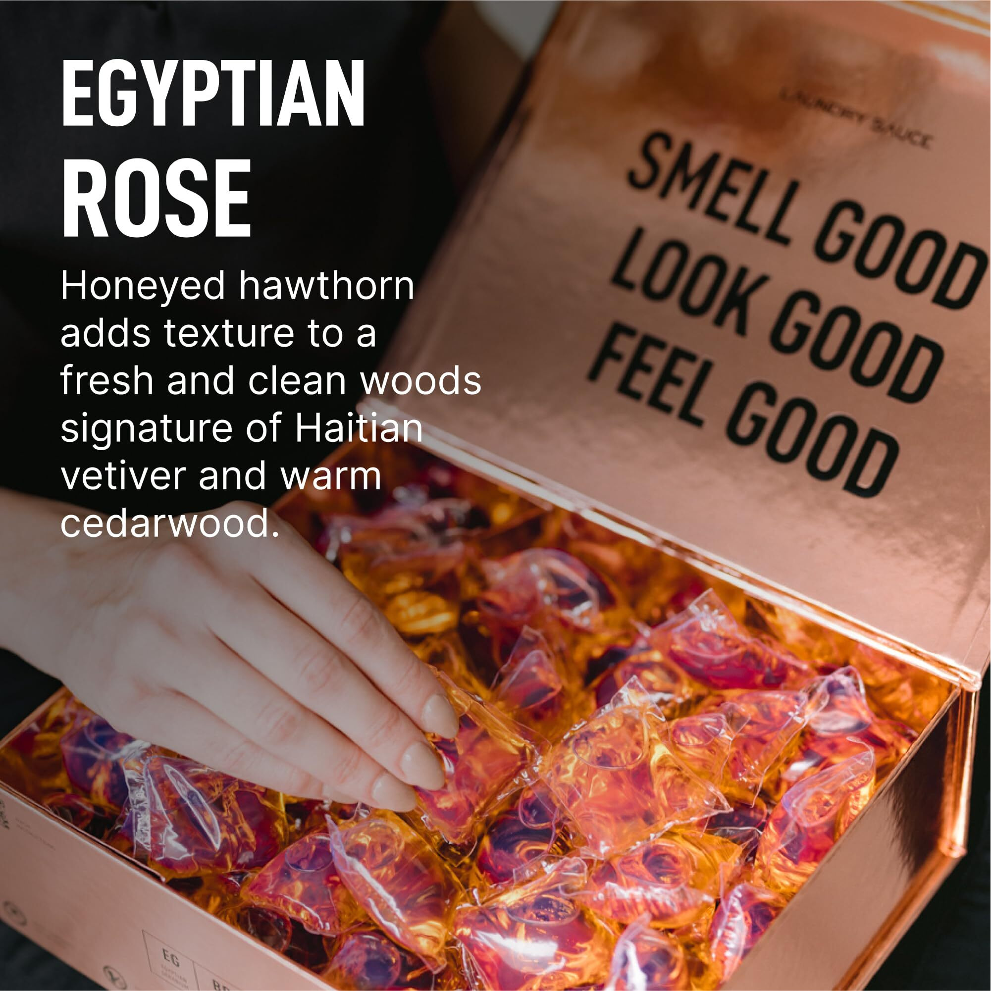 Laundry Sauce - Luxury Scented Laundry Detergent Pods & Scent Booster Bundle (Australian Sandalwood)  Premium Laundry Washing Pods With High-End  Sophisticated Fragrances  Dye Free & He Compatible