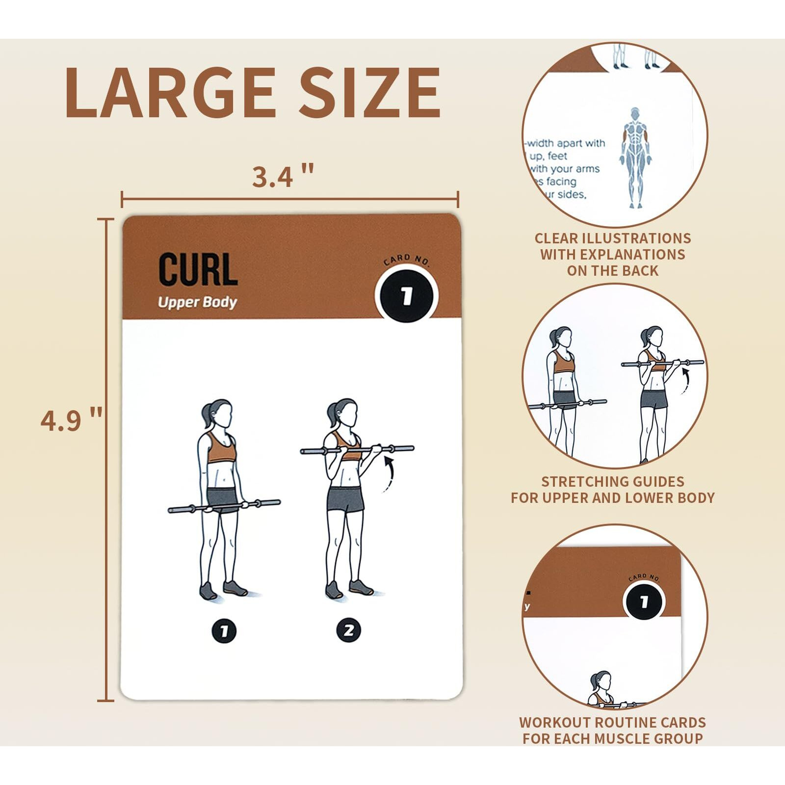 Elaory Barbell Workout Cards  62 Exercises Cards Deck Large Size 5"" X 3.5"" Fitness Cards For Women & Men  Beginner Fitness Guide To Training Exercises At Home Or Gym