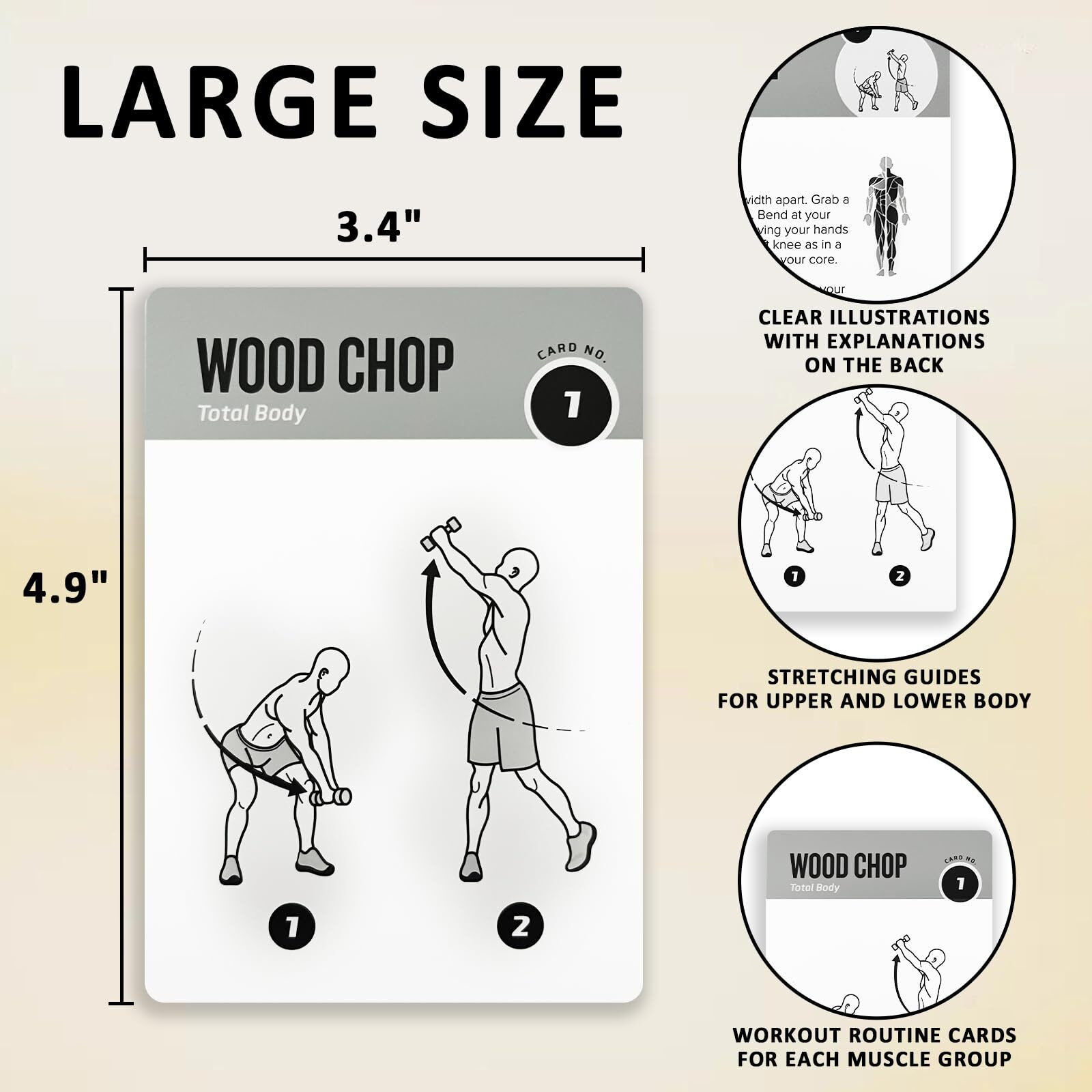 Elaory Dumbbell Workout Cards  62 Exercises Cards Deck Large Size 5"" X 3.5"" Fitness Cards For Women & Men  Beginner Fitness Guide To Training Exercises At Home Or Gym