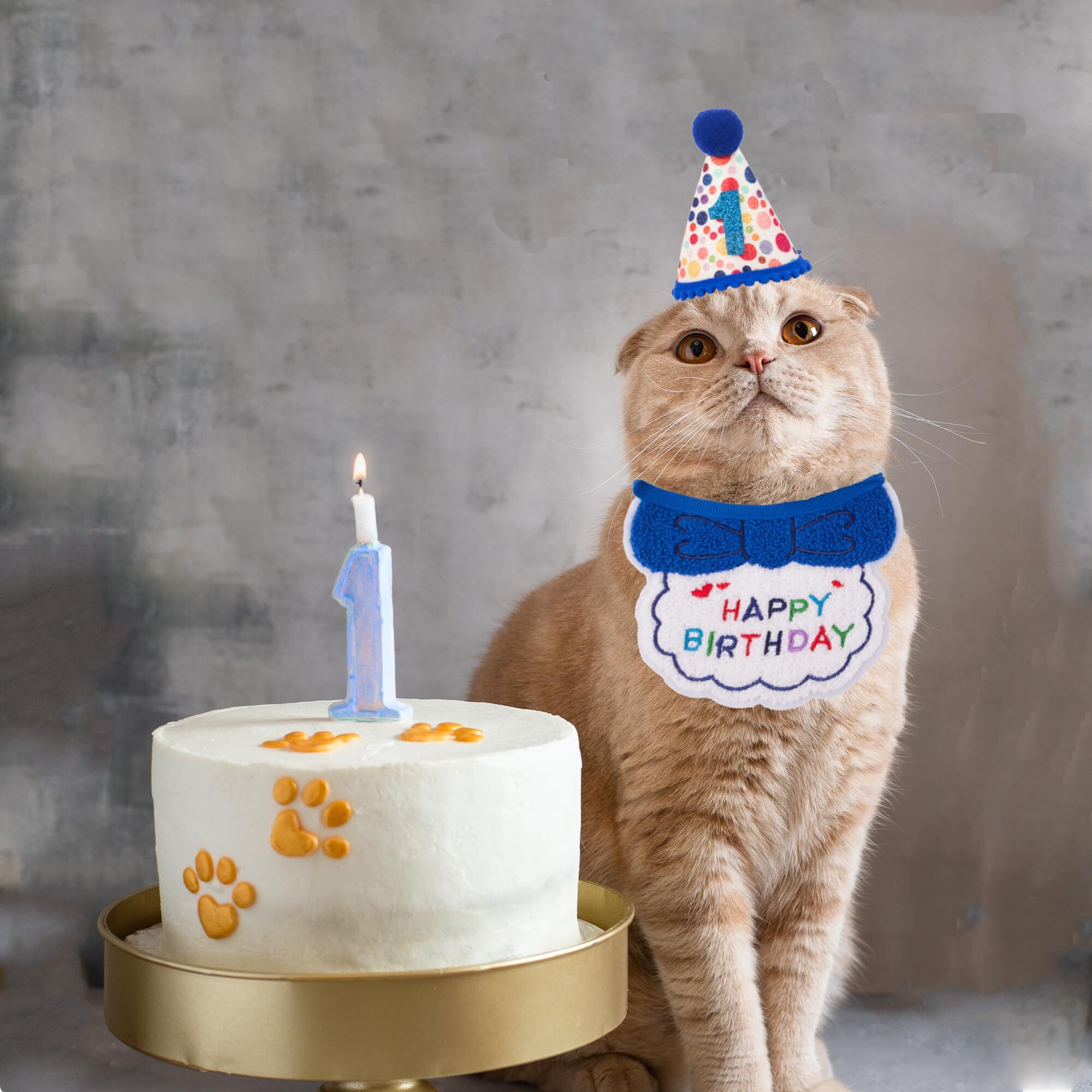 Adoggygo Cat Birthday Party Supplies  Blue Boy Cat Kitten Birthday Bandana Hat Numbers Pet Birthday Decorations Outfits