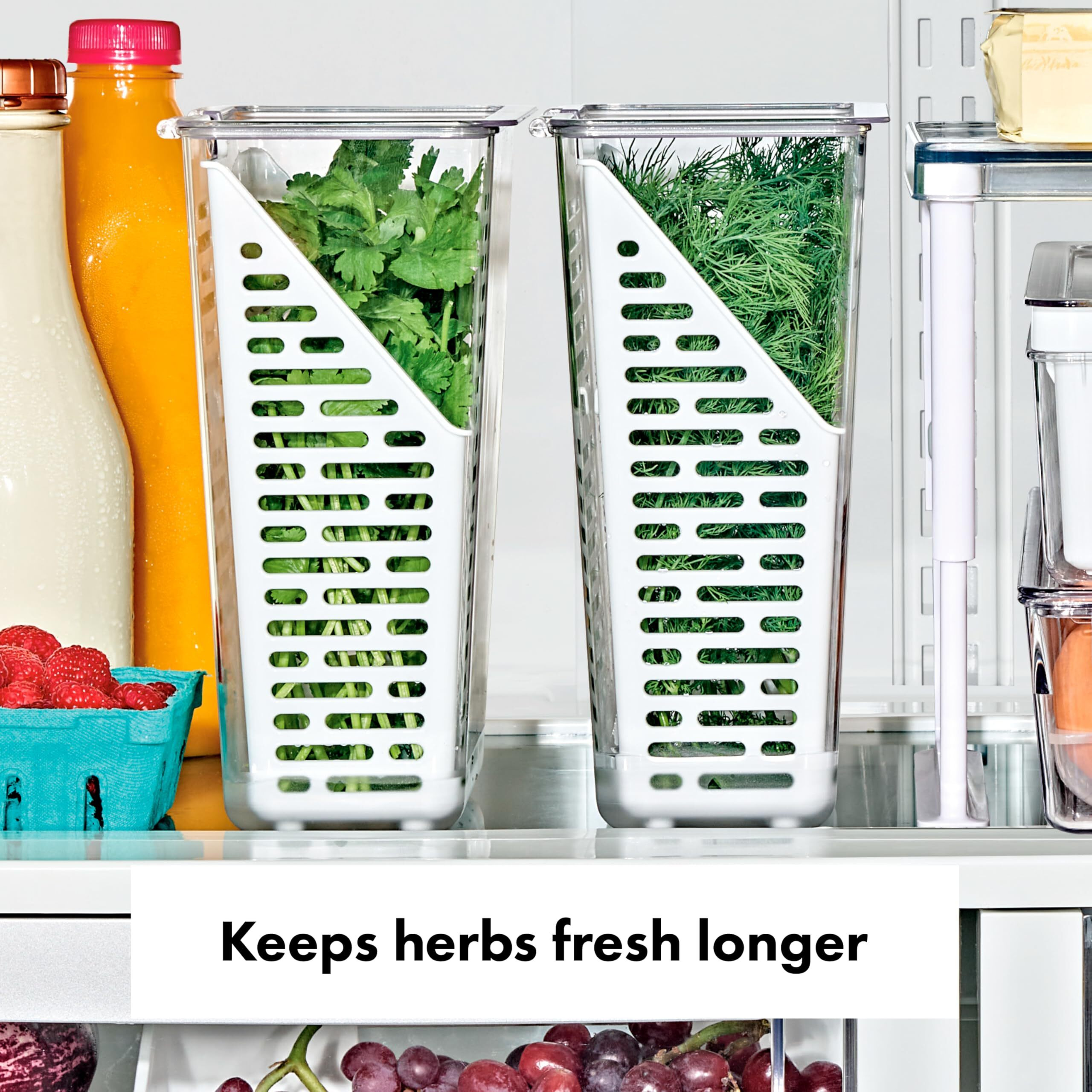 Oxo Good Grips Produce Saver - Herb Keeper  4.5 X 6.0 X 11.3 In  White