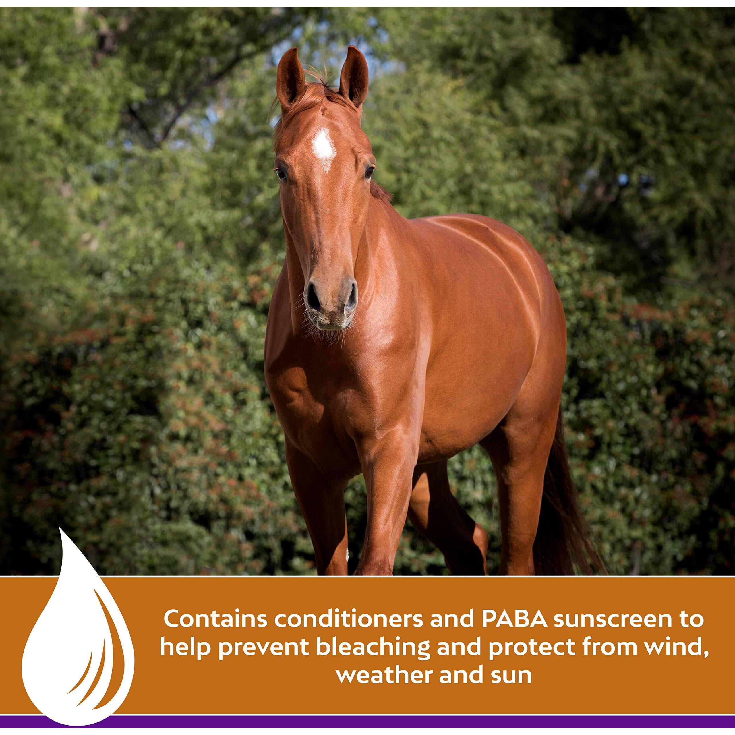 Farnam Vetrolin Shine Coat Conditioner & Shine Spray For Horses & Dogs 64 Ounces