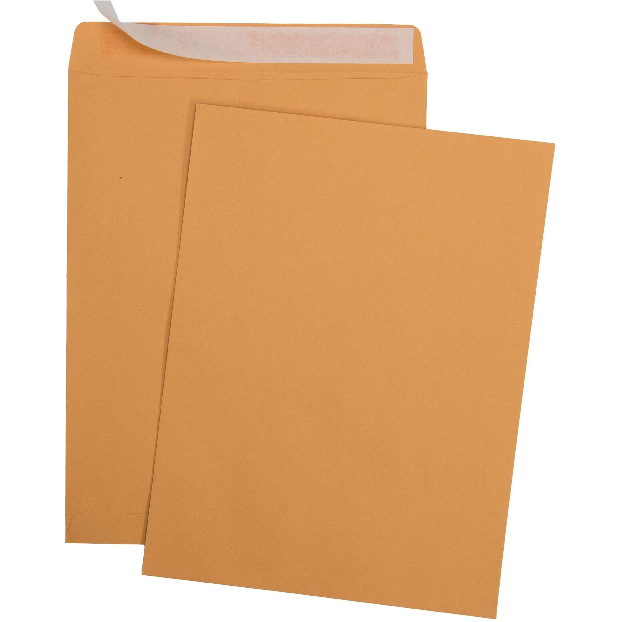 Aimoh 6 X 9 Self-Seal Brown Kraft Catalog Envelopes - 28Lb  Ultra Strong Quick-Seal  6X9 Inch - 25 Count (38369)
