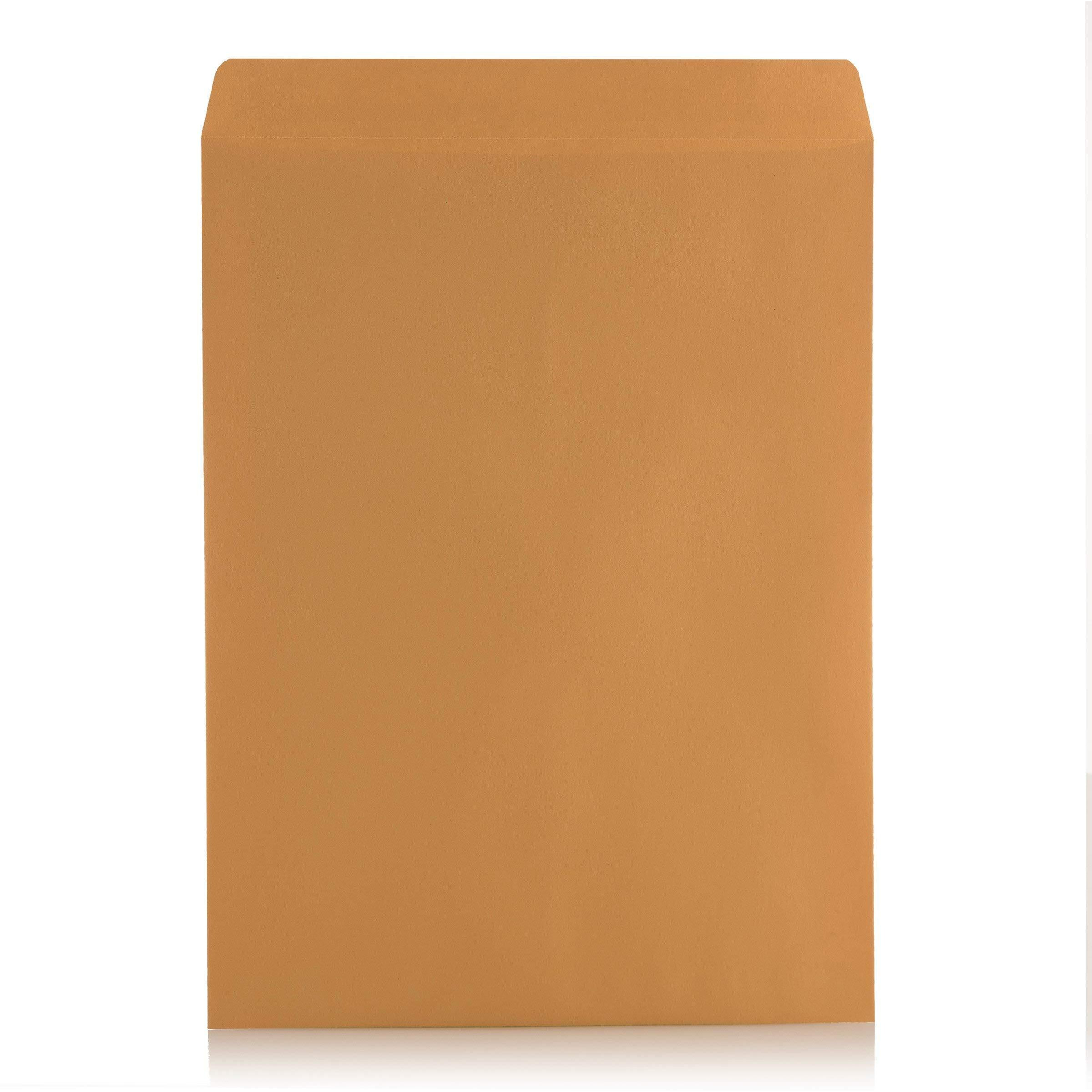 Aimoh 6 X 9 Self-Seal Brown Kraft Catalog Envelopes - 28Lb  Ultra Strong Quick-Seal  6X9 Inch - 25 Count (38369)