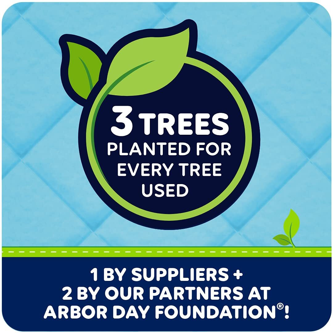 Quilted Northern Ultra Soft & Strong Toilet Paper  9 Mega Rolls  36 Regular Rolls  2-Ply Bath Tissue