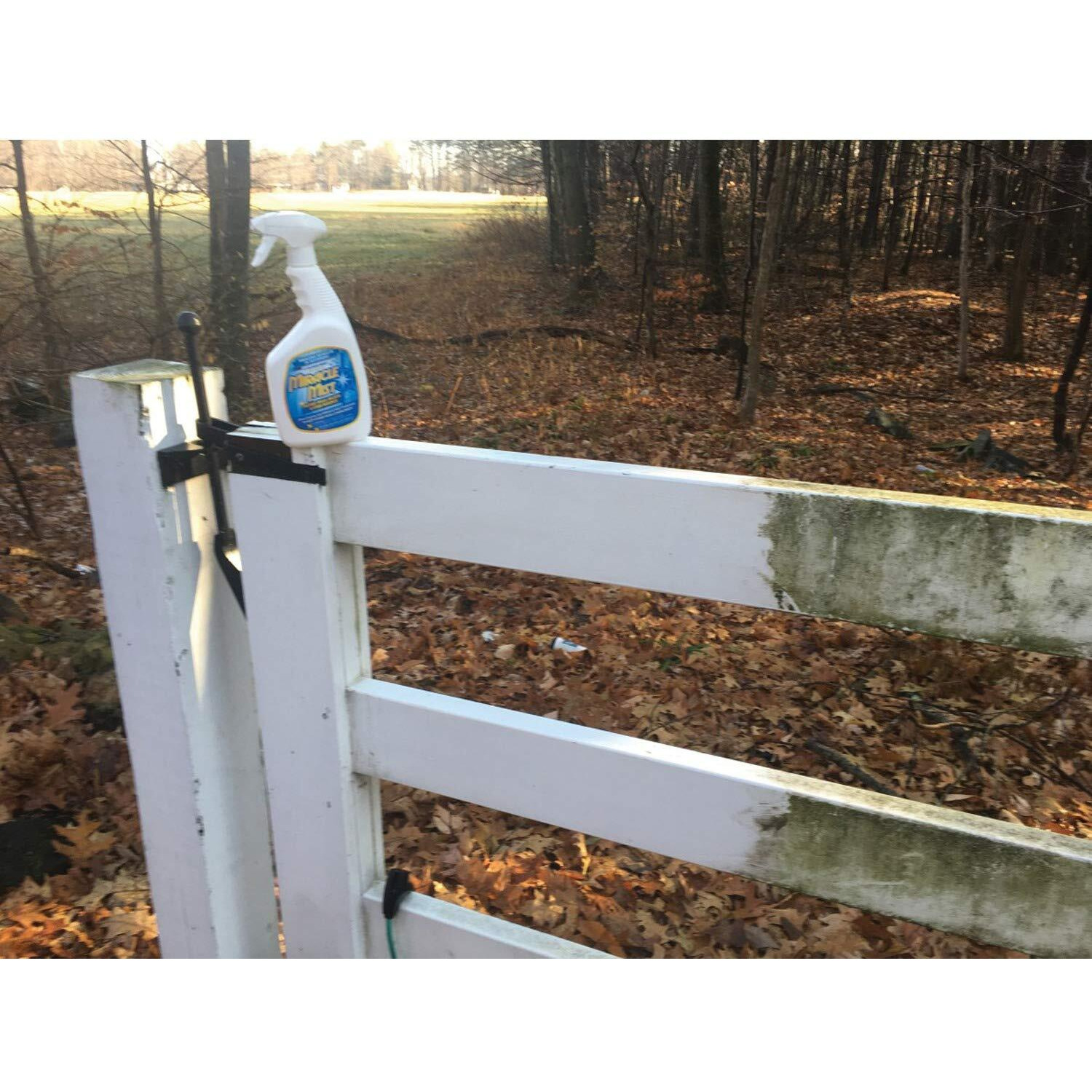 Miraclemist Mmic-4 Instant Mold And Mildew Stain Remover (32-Ounce Spray Bottle)