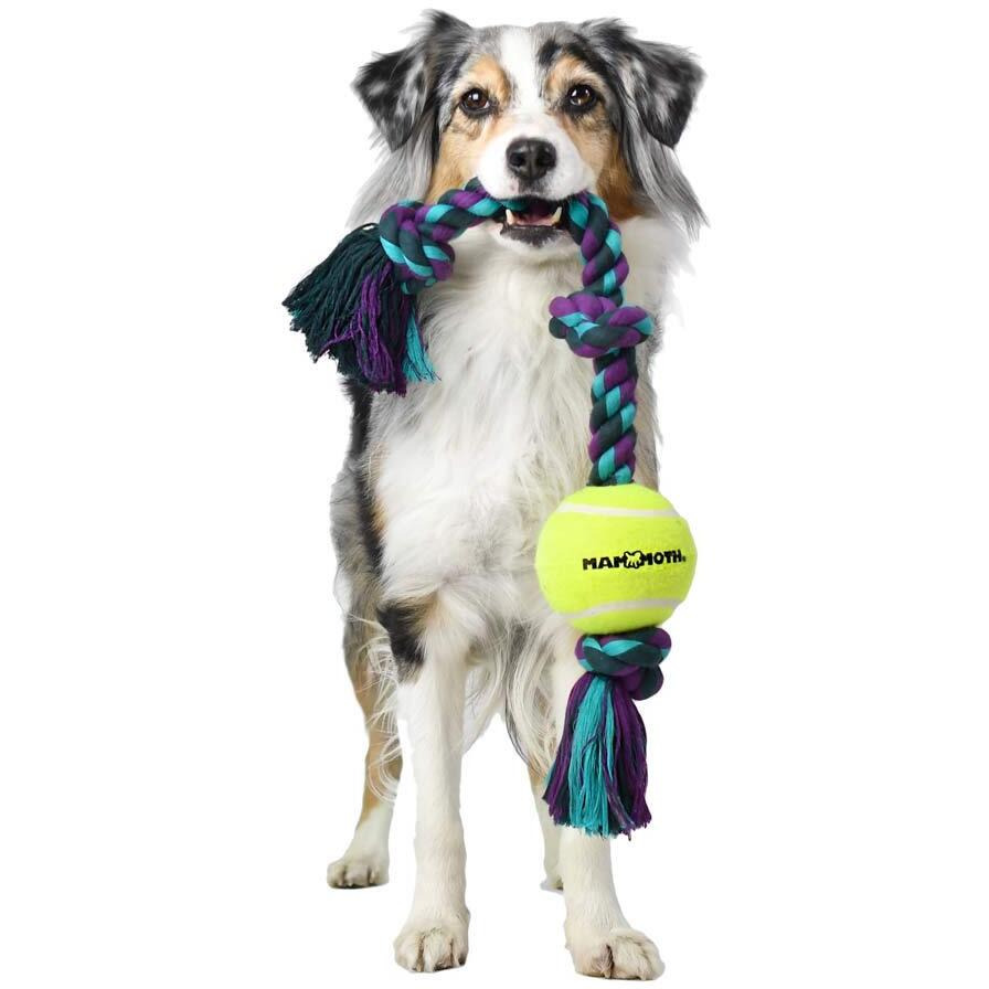 Mammoth Flossy Chews Color 3 Knot Tug W/Standard Tennis Ball - Premium Cotton-Poly Tug Toy For Dogs - Interactive- Rope Dog Toy For Medium Dogs - 20
