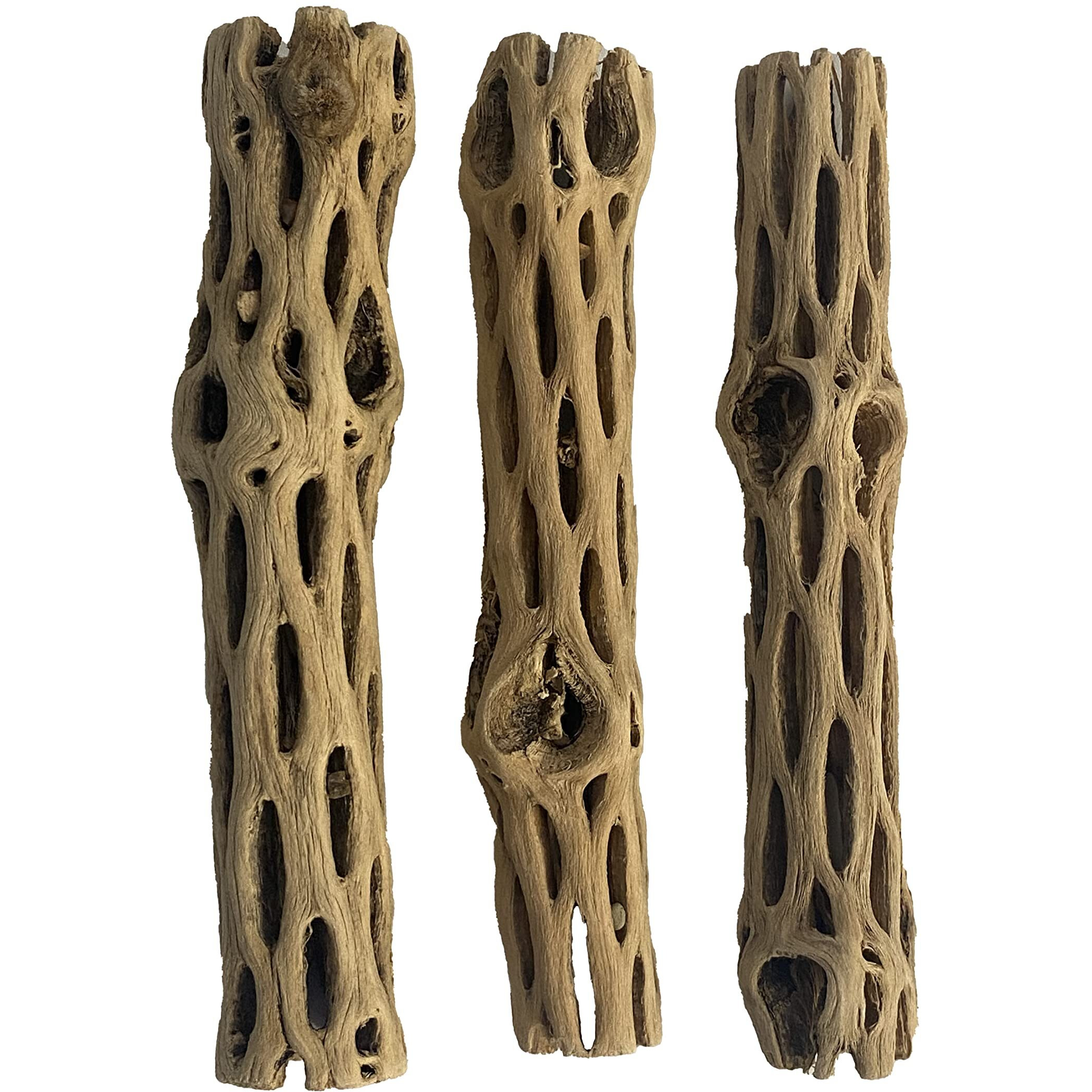 Awesome Aquatic Natural Cholla/Choya Wood 3 Pieces 6  For Shrimp Habitat And Food Treat Hermit Crabs Plecos Aquarium Decoration Lowers Ph Hideouts And Chew Toys Reptiles Thorn Free Dried Organic