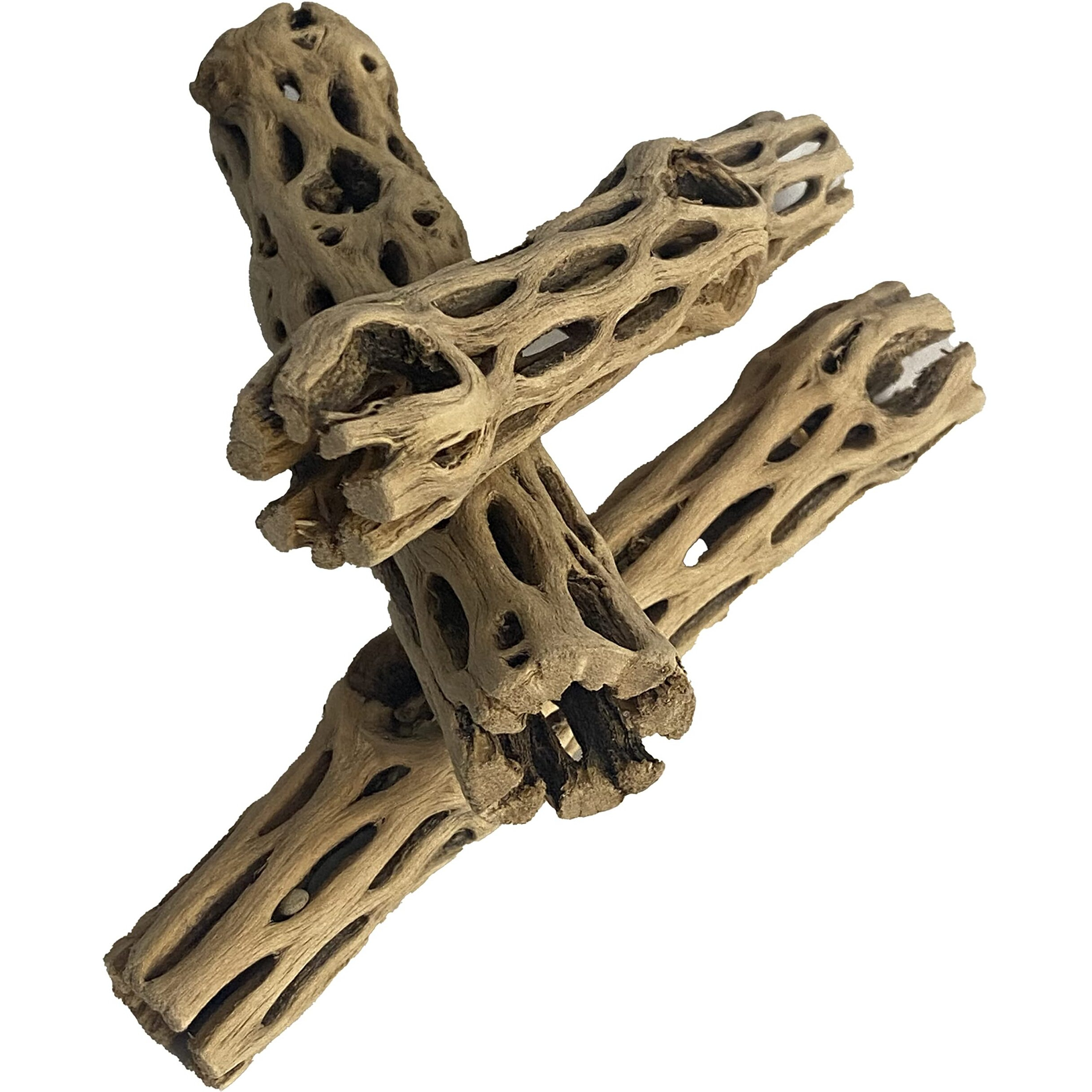 Awesome Aquatic Natural Cholla/Choya Wood 3 Pieces 6  For Shrimp Habitat And Food Treat Hermit Crabs Plecos Aquarium Decoration Lowers Ph Hideouts And Chew Toys Reptiles Thorn Free Dried Organic