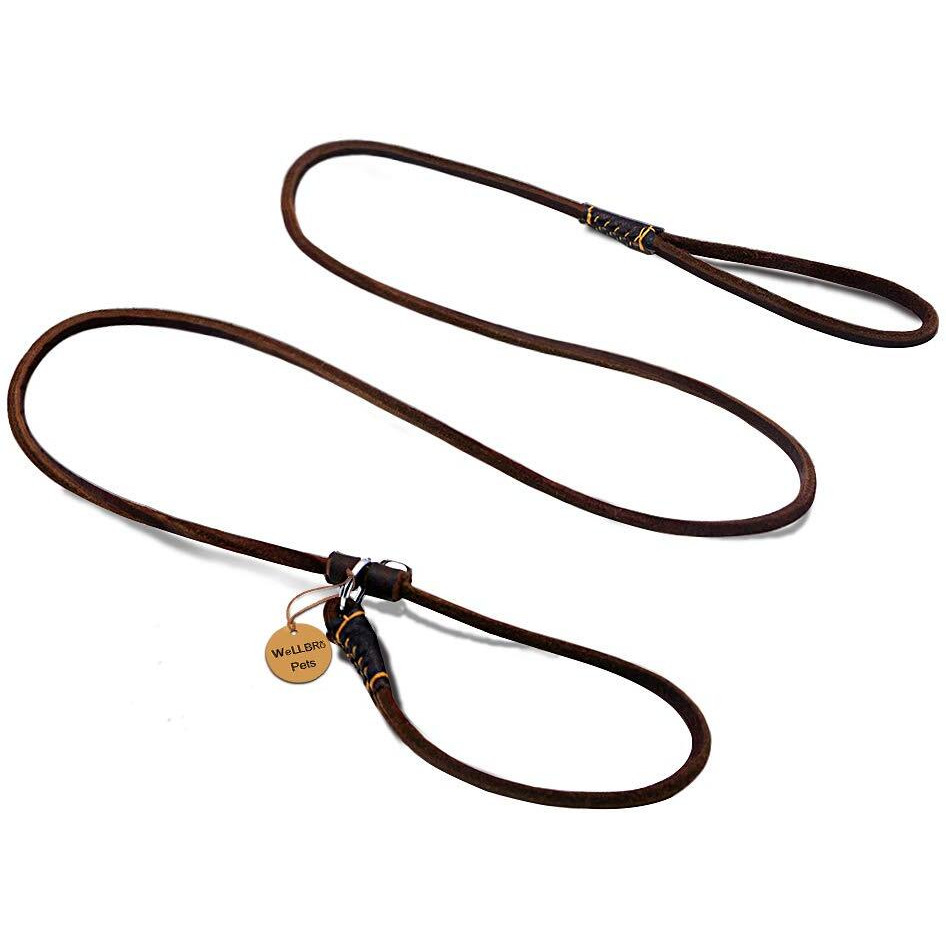 Wellbro Real Leather Slip Dog Leash  Super Thin And Adjustable Slip Lead  Soft And Slim  Suit For Puppies Small Dogs  160Cm Long By 0.6Cm Wide  Brown