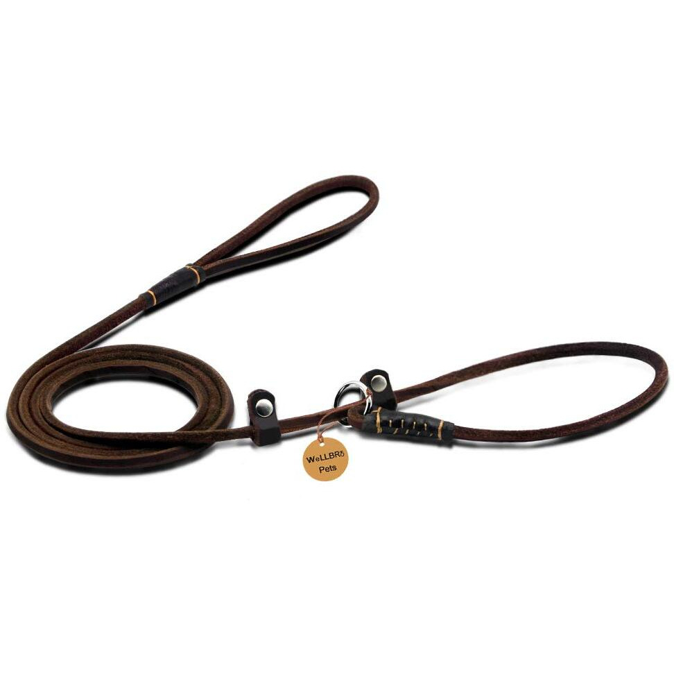 Wellbro Real Leather Slip Dog Leash  Super Thin And Adjustable Slip Lead  Soft And Slim  Suit For Puppies Small Dogs  160Cm Long By 0.6Cm Wide  Brown