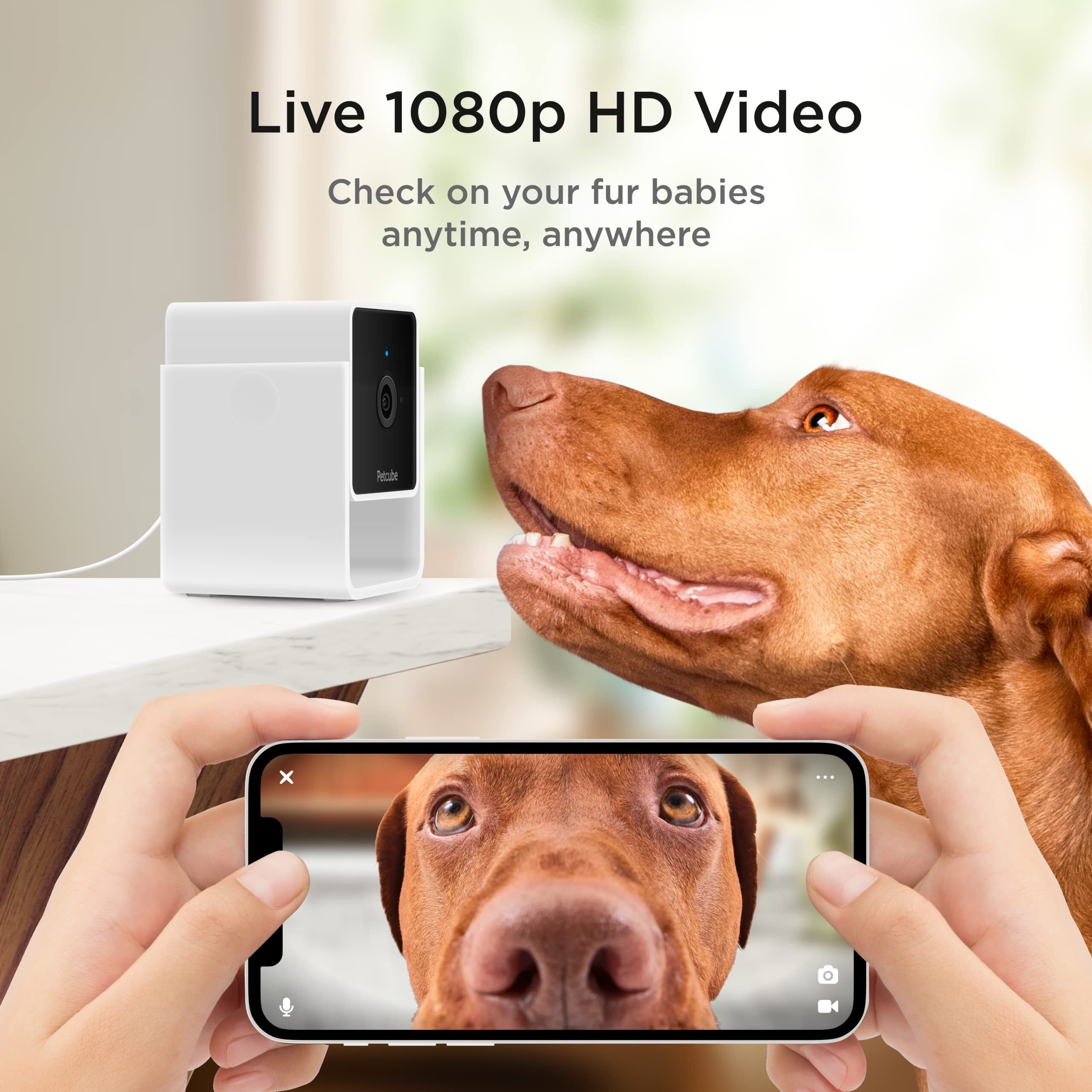 Petcube Cam | Indoor Wi-Fi Pet And Security Camera With Phone App  Pet Monitor With 2-Way Audio And Video  Night Vision  1080P Hd Video And Smart Alerts For Ultimate Home Security