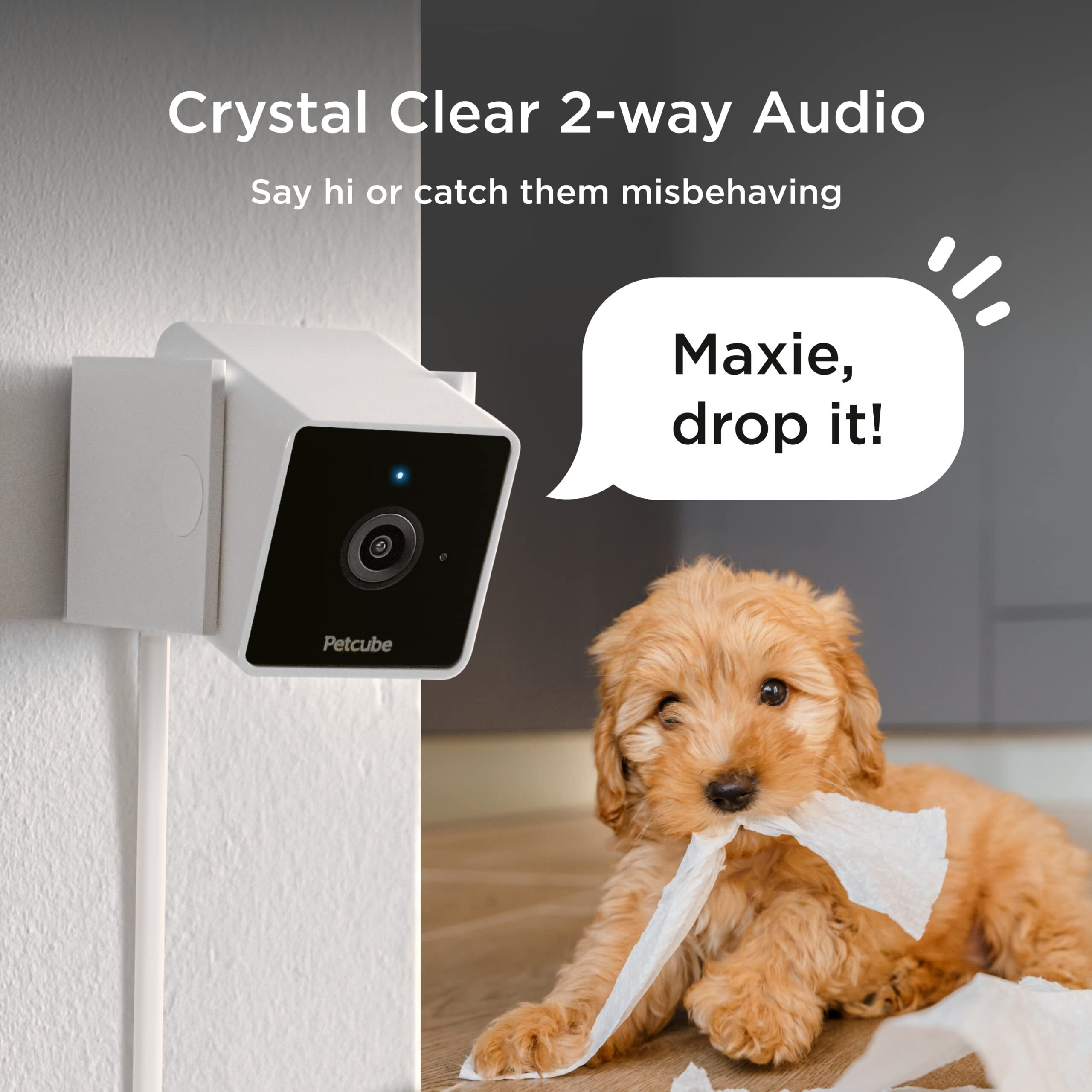 Petcube Cam | Indoor Wi-Fi Pet And Security Camera With Phone App  Pet Monitor With 2-Way Audio And Video  Night Vision  1080P Hd Video And Smart Alerts For Ultimate Home Security