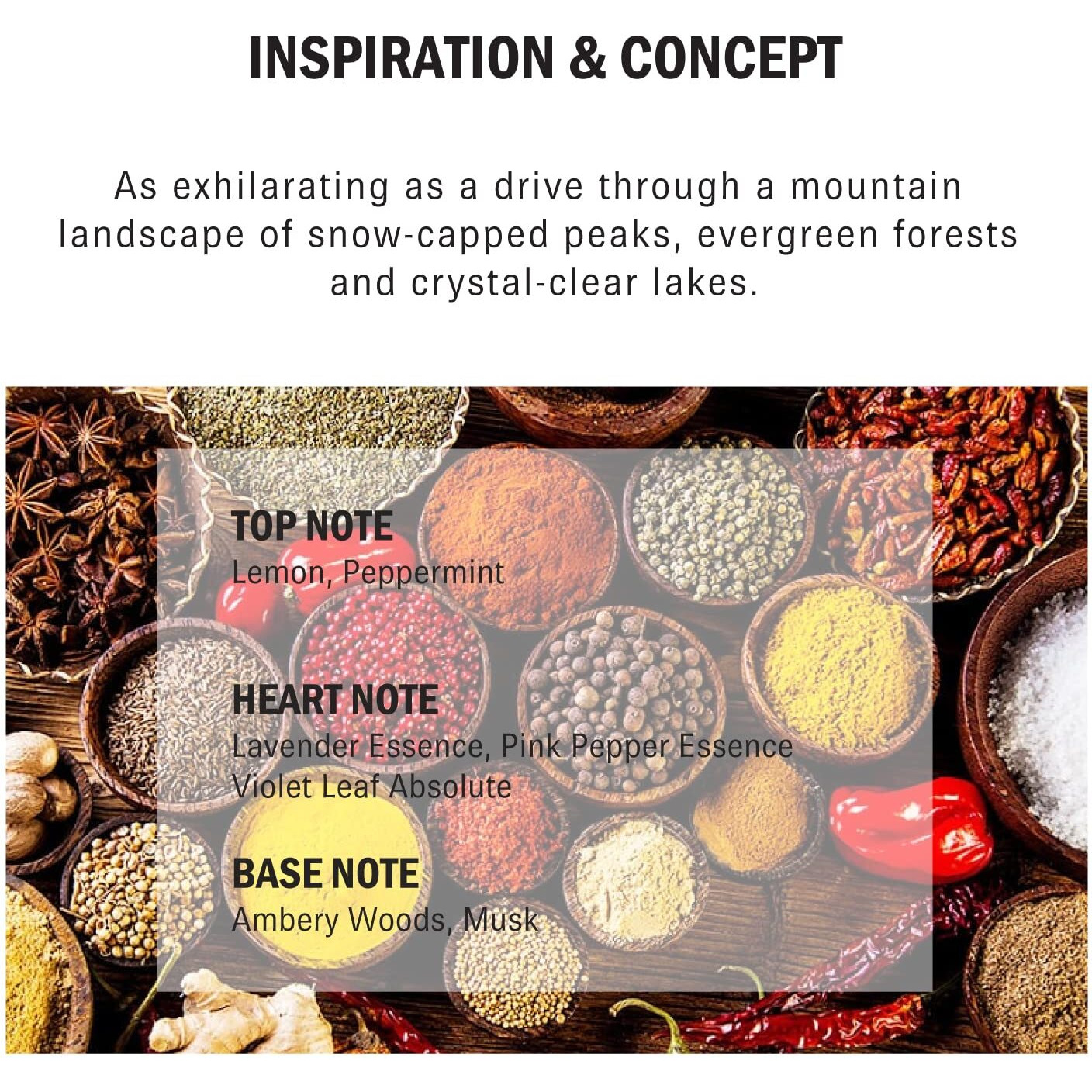 Bentley Silverlake By Bentley Eau De Parfum Spray 3.4 Oz