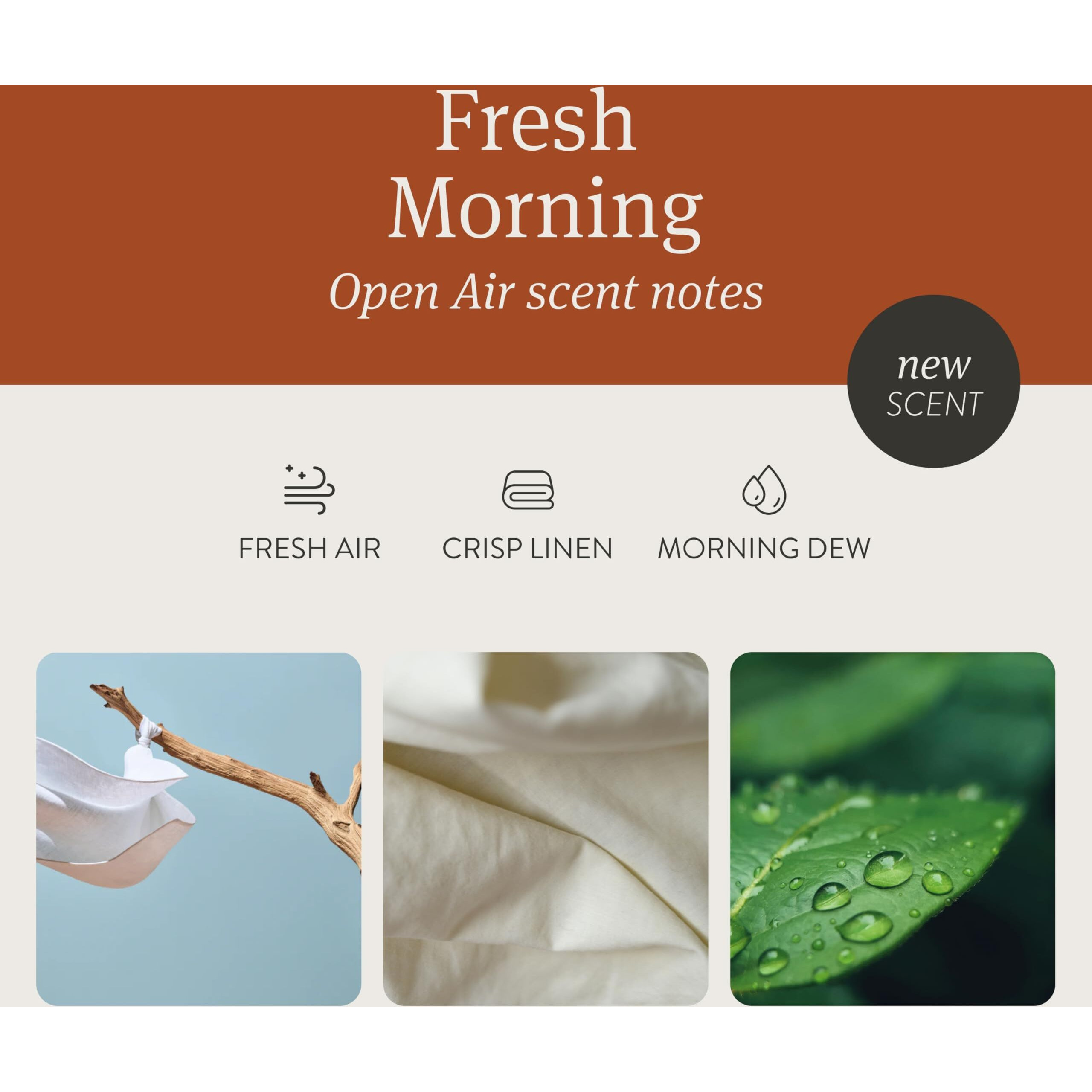 Drift Car Air Freshener - Wood Air Freshener - Car Odor Eliminator - Open Air Scent Starter Kit