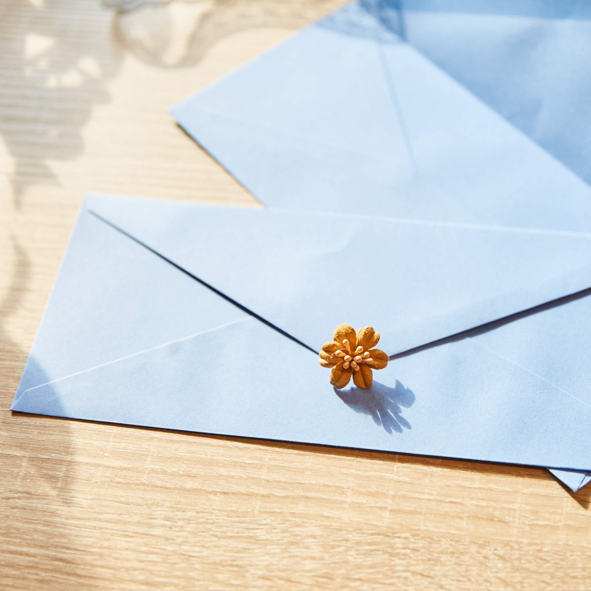 Juvale 96 Pack 10 Business Envelopes In Bulk For Letter Mailing  4 1/8 X 9 1/2 Inches  Light Blue - Letter Envelopes - Pack Product