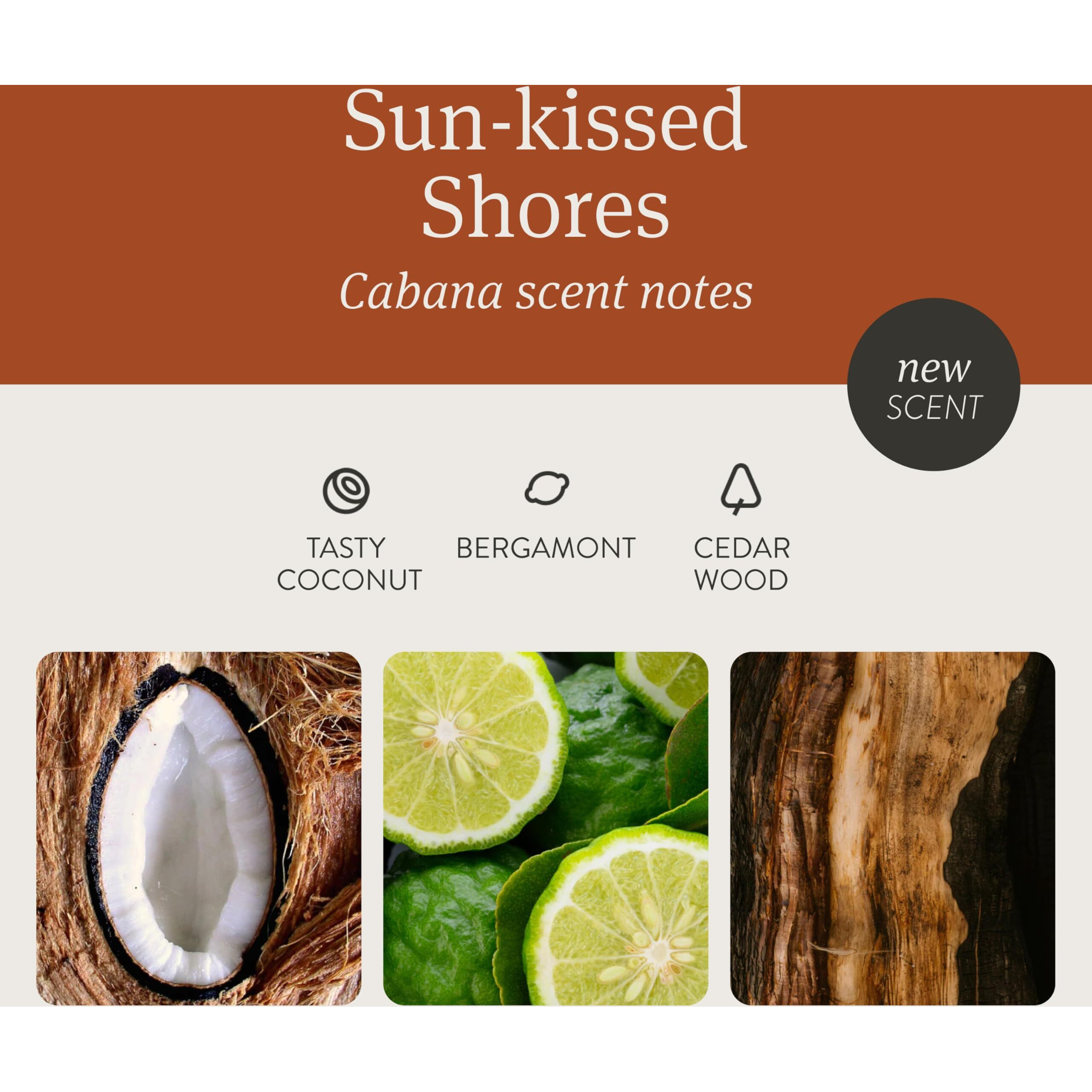 Drift Car Air Freshener - Wood Air Freshener - Car Odor Eliminator - Cabana Scent Starter Kit