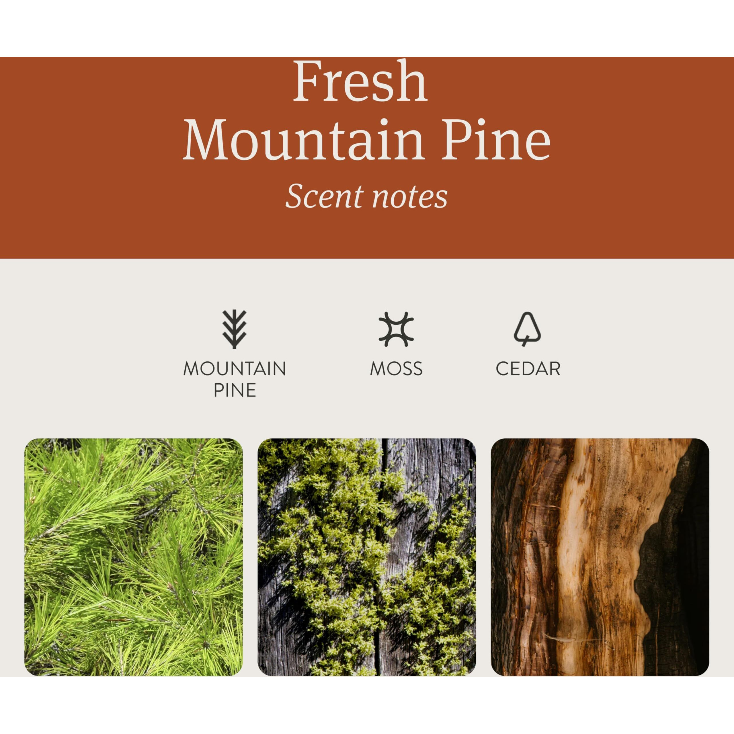 Drift Car Air Freshener - Wood Air Freshener - Car Odor Eliminator - Pine Scent Starter Kit