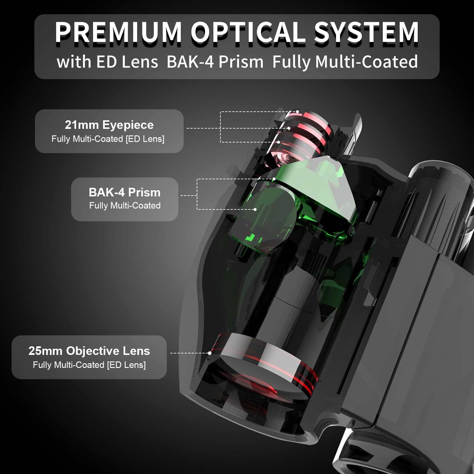 6X25 Compact Binoculars  Bak-4 Prism 9.5 Wide Field Of View 21Mm Eyepiece With Ed Lens  Black
